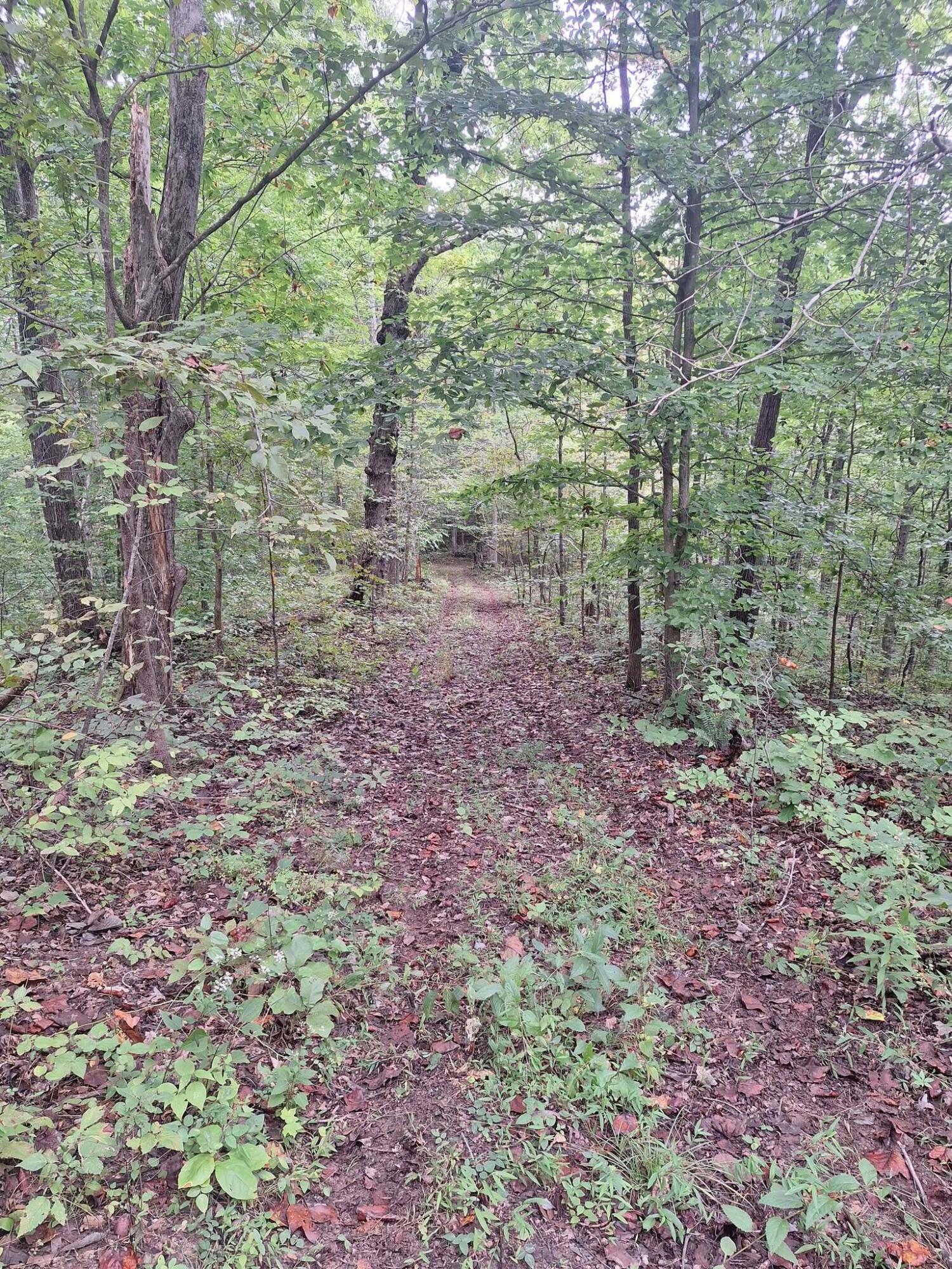292-999 Short Branch Road Property Photo 23