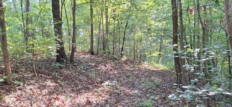 292-999 Short Branch Road Property Photo 30