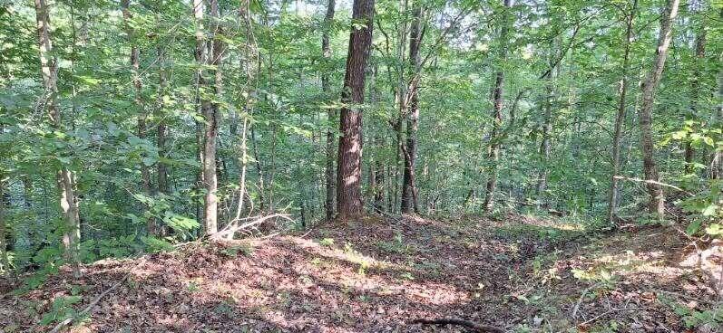 292-999 Short Branch Road Property Photo 31