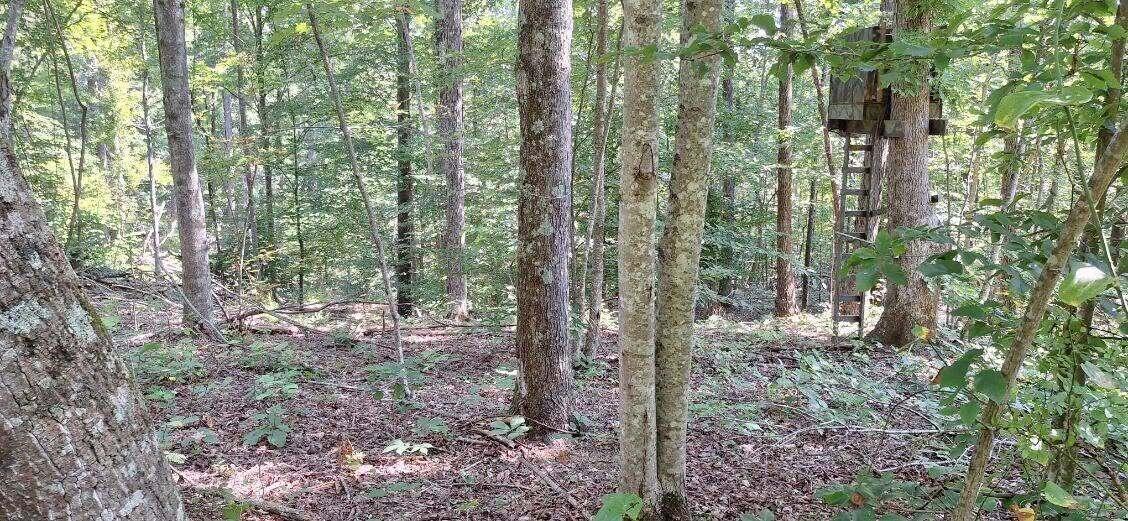 292-999 Short Branch Road Property Photo 32