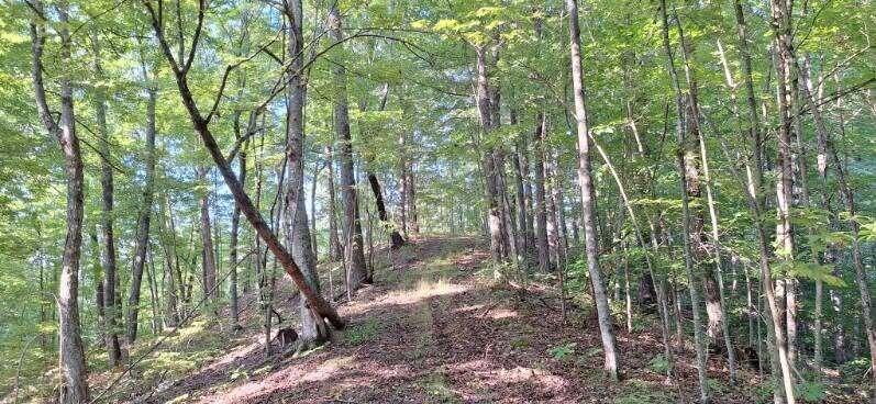 292-999 Short Branch Road Property Photo 34