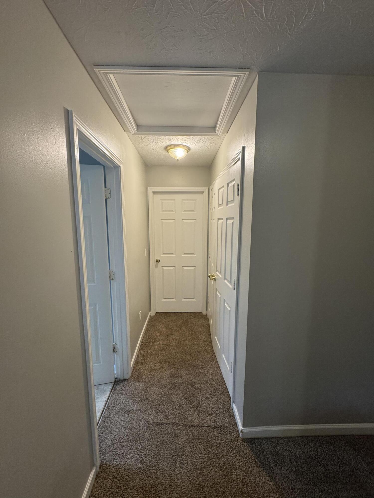 228 Mousas Way Property Photo 18
