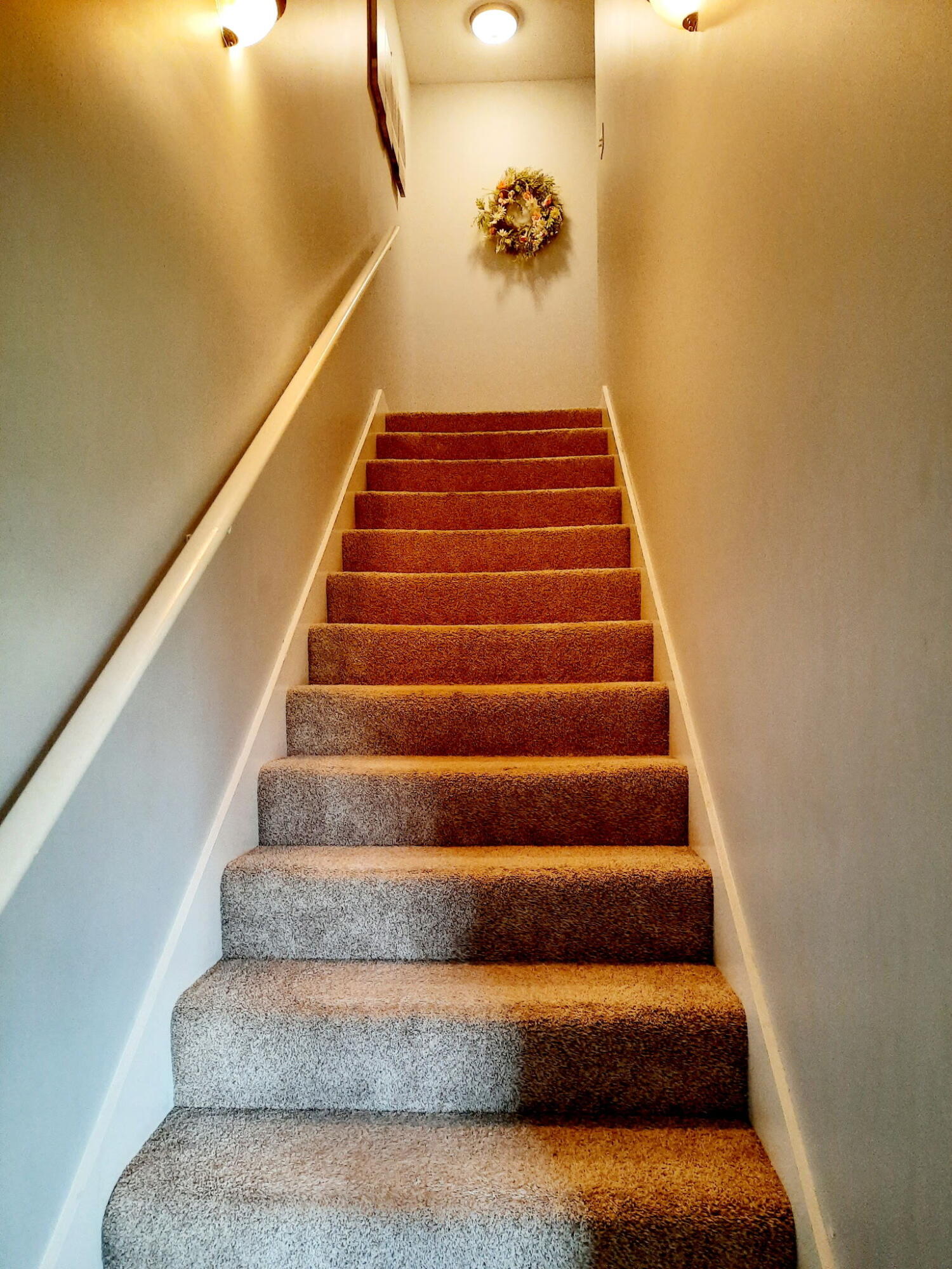 717 Claw Court Property Photo 9