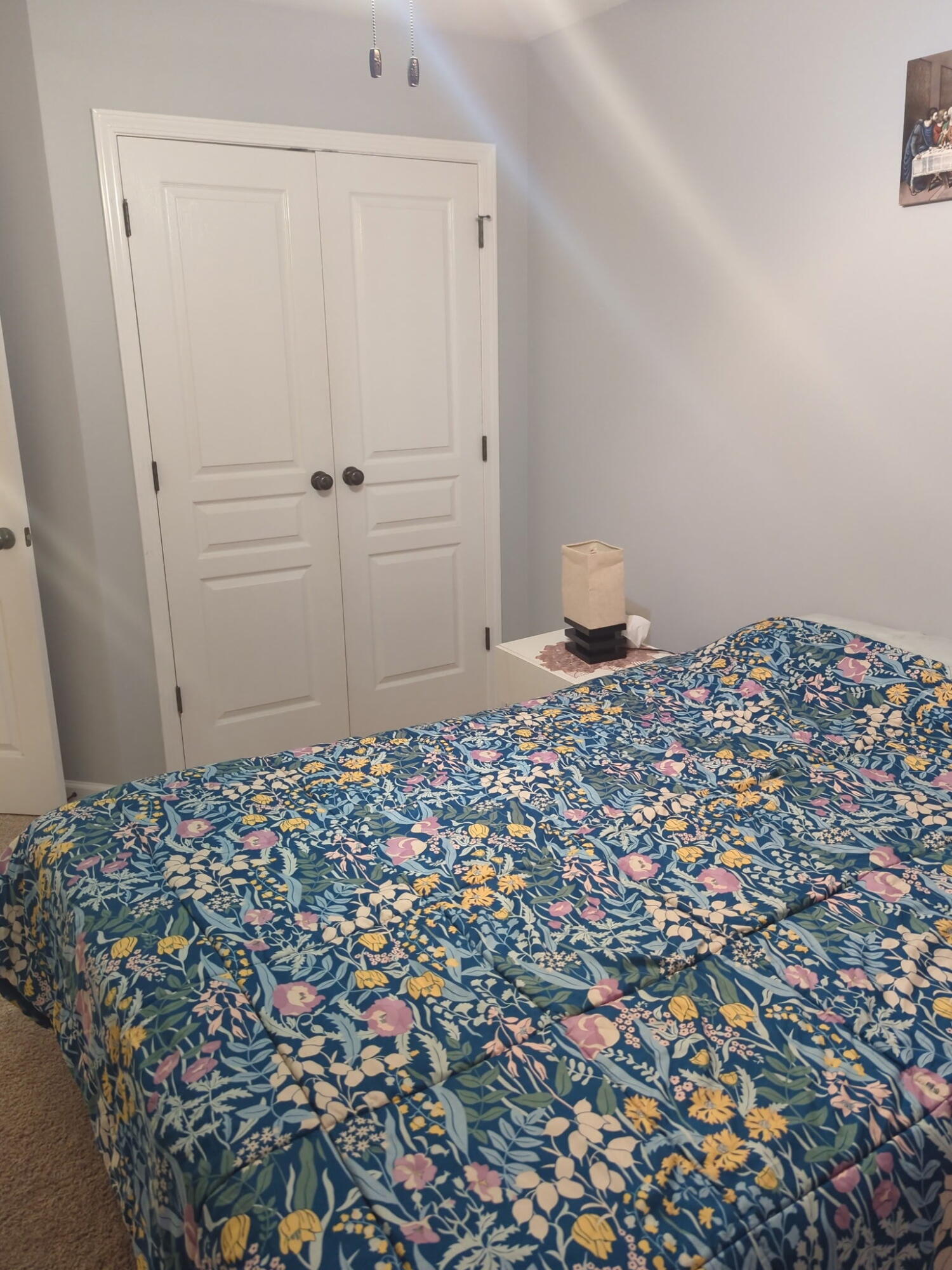 717 Claw Court Property Photo 10