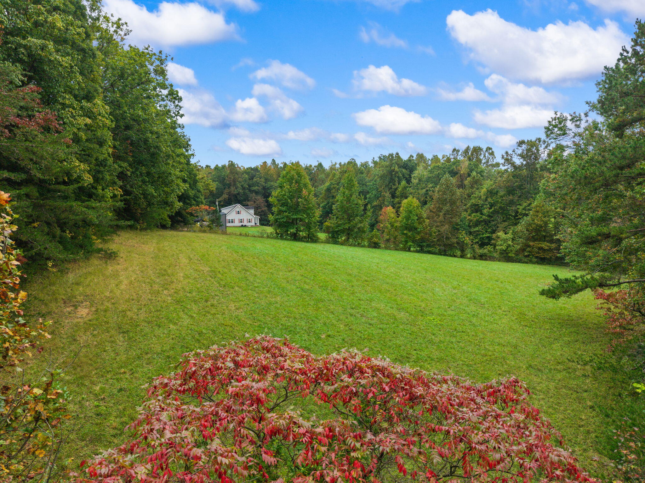 108 Berryman Road Property Photo 19