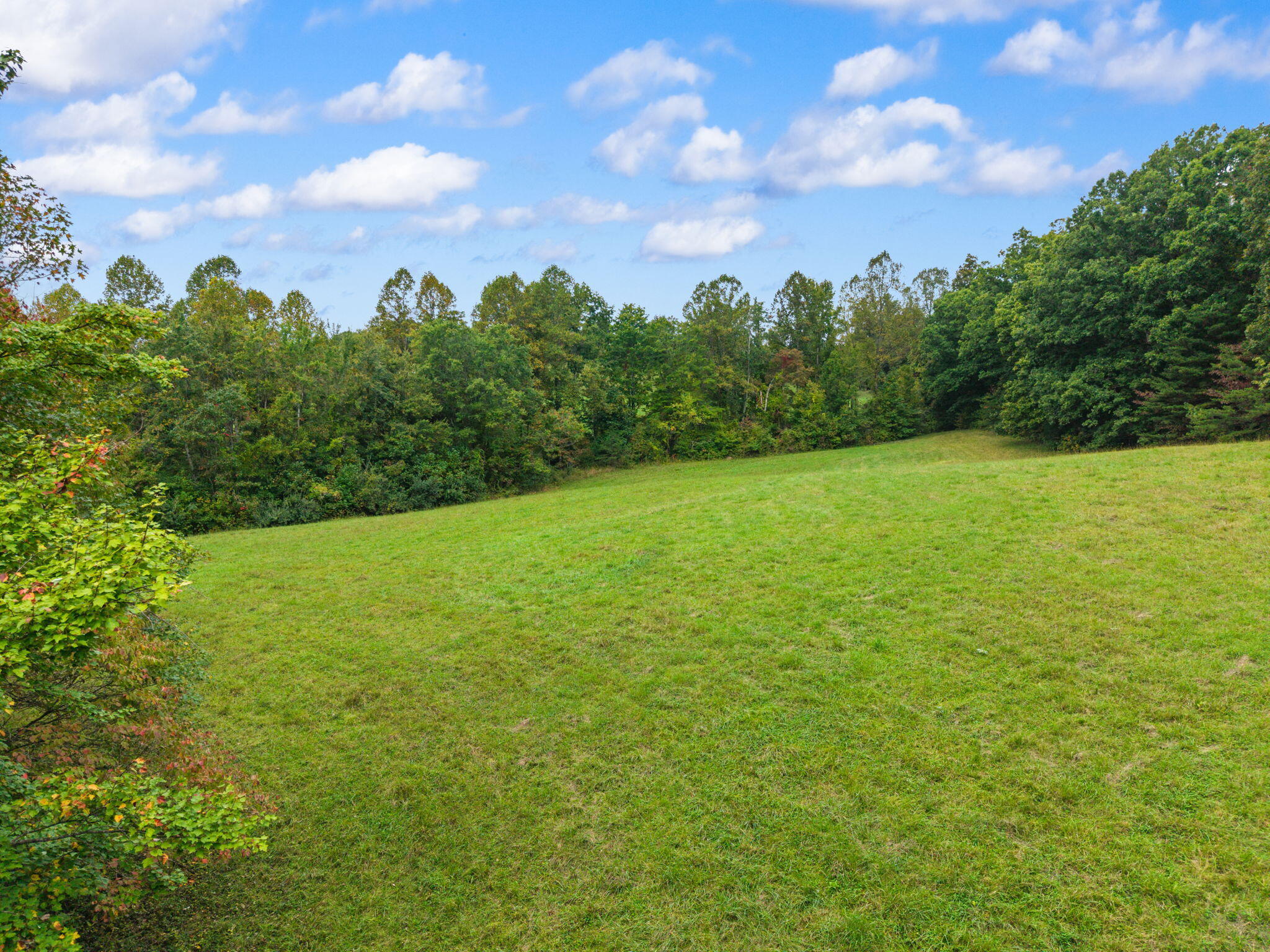 108 Berryman Road Property Photo 20