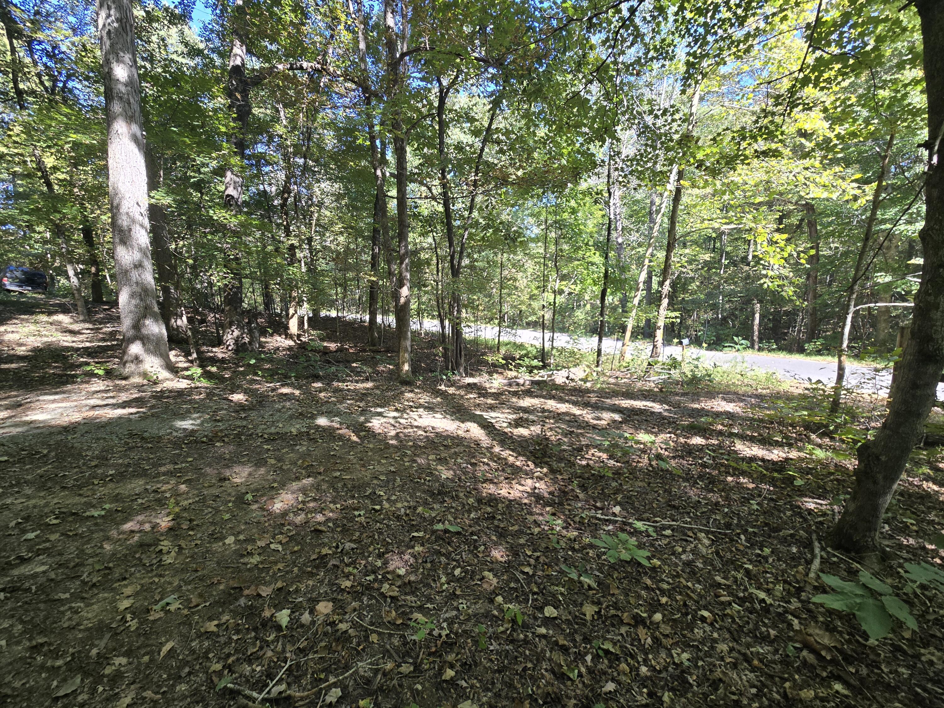 3774 Needmore Road Property Photo 3
