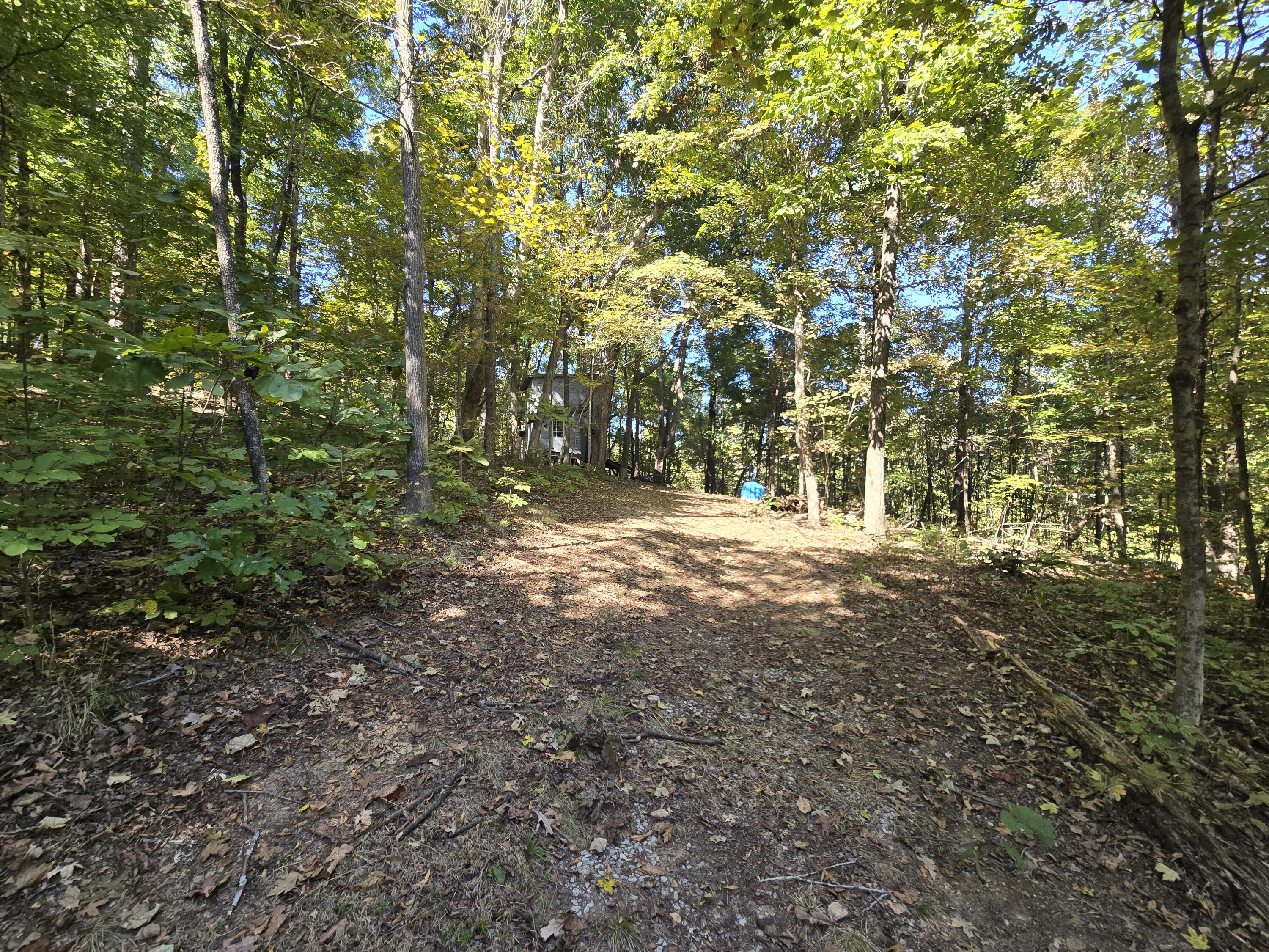 3774 Needmore Road Property Photo 4