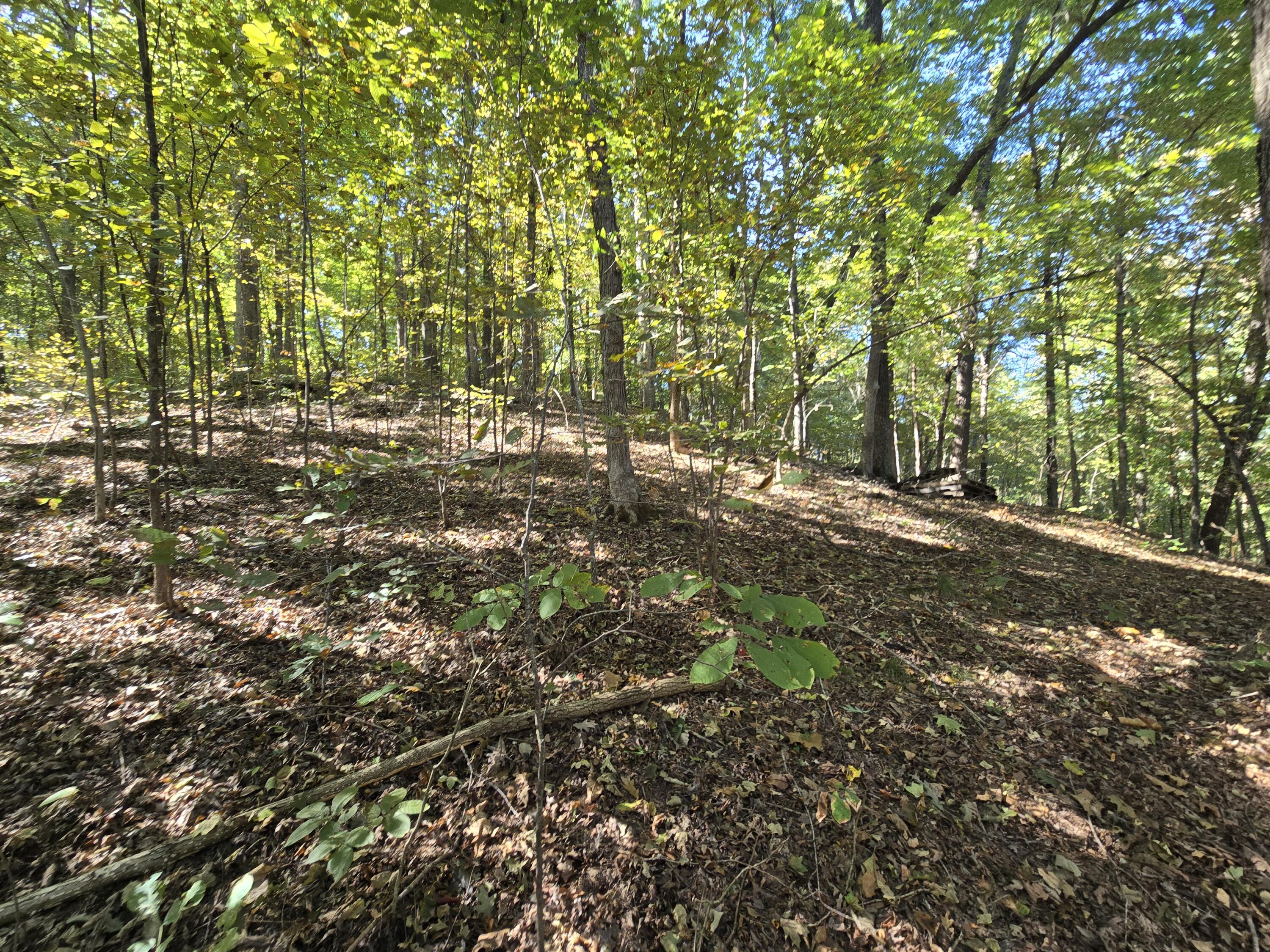 3774 Needmore Road Property Photo 1