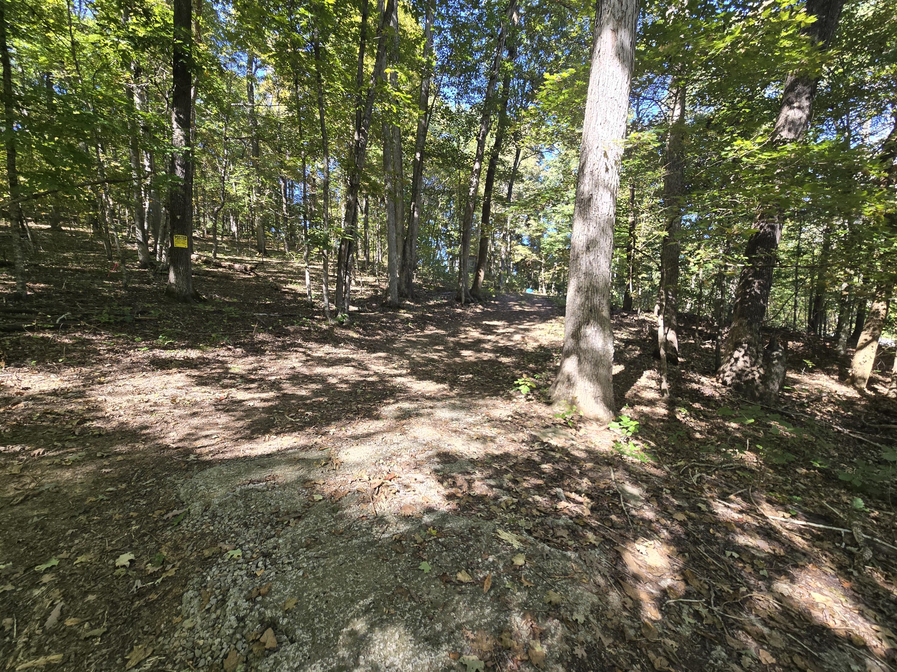 3774 Needmore Road Property Photo 2