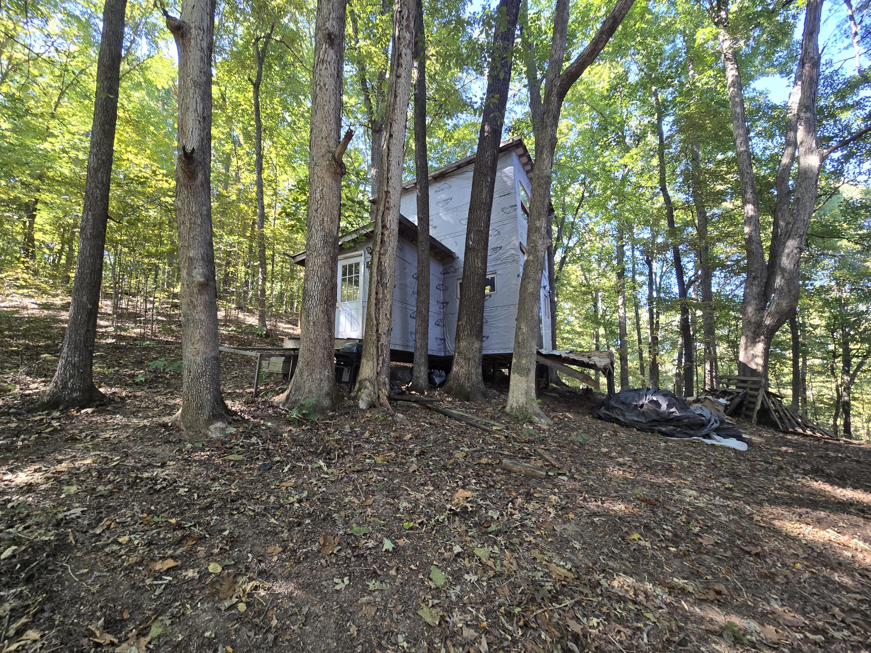 3774 Needmore Road Property Photo 5
