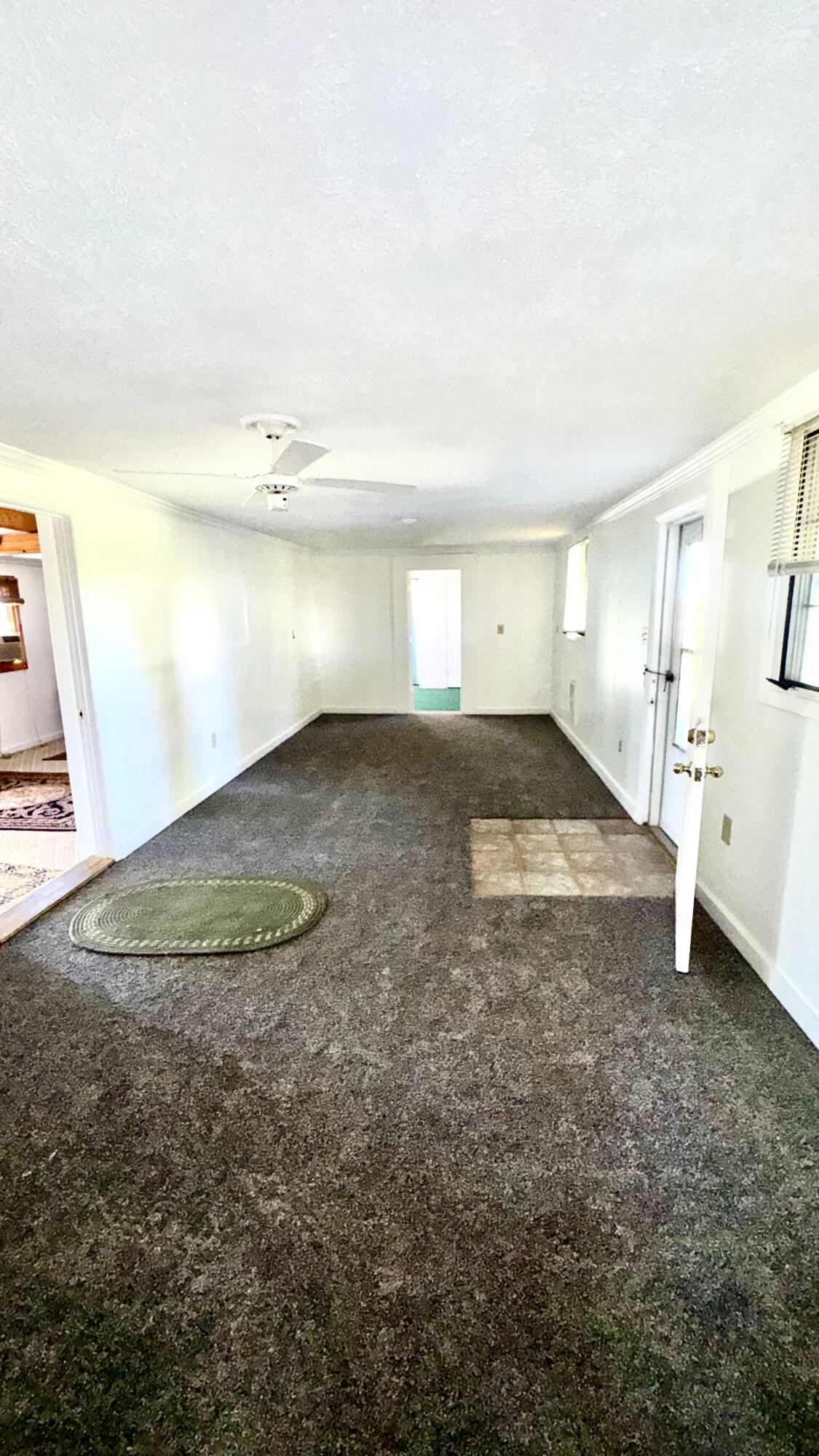 221 Hughley Lane Property Photo 12