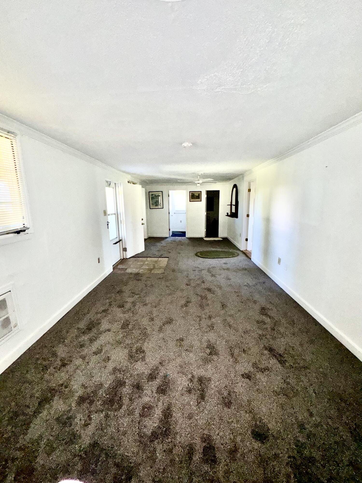 221 Hughley Lane Property Photo 13