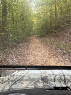 98.54 Acres M/1 Elkhorn Trace Branch Property Photo 2