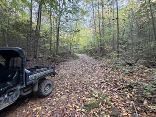98.54 Acres M/1 Elkhorn Trace Branch Property Photo 4