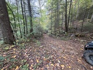 98.54 Acres M/1 Elkhorn Trace Branch Property Photo 6
