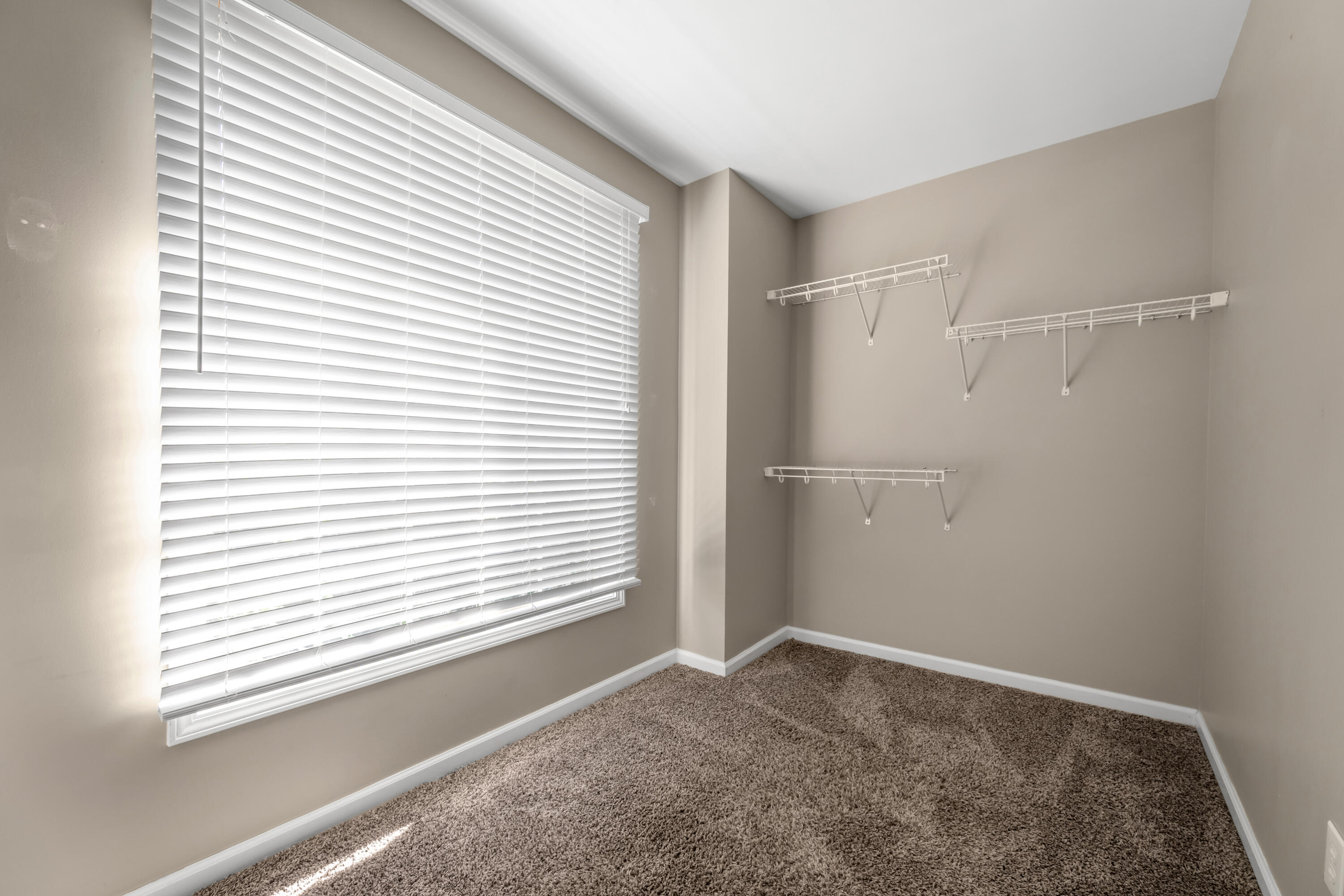 105 Stamping Court Property Photo 38