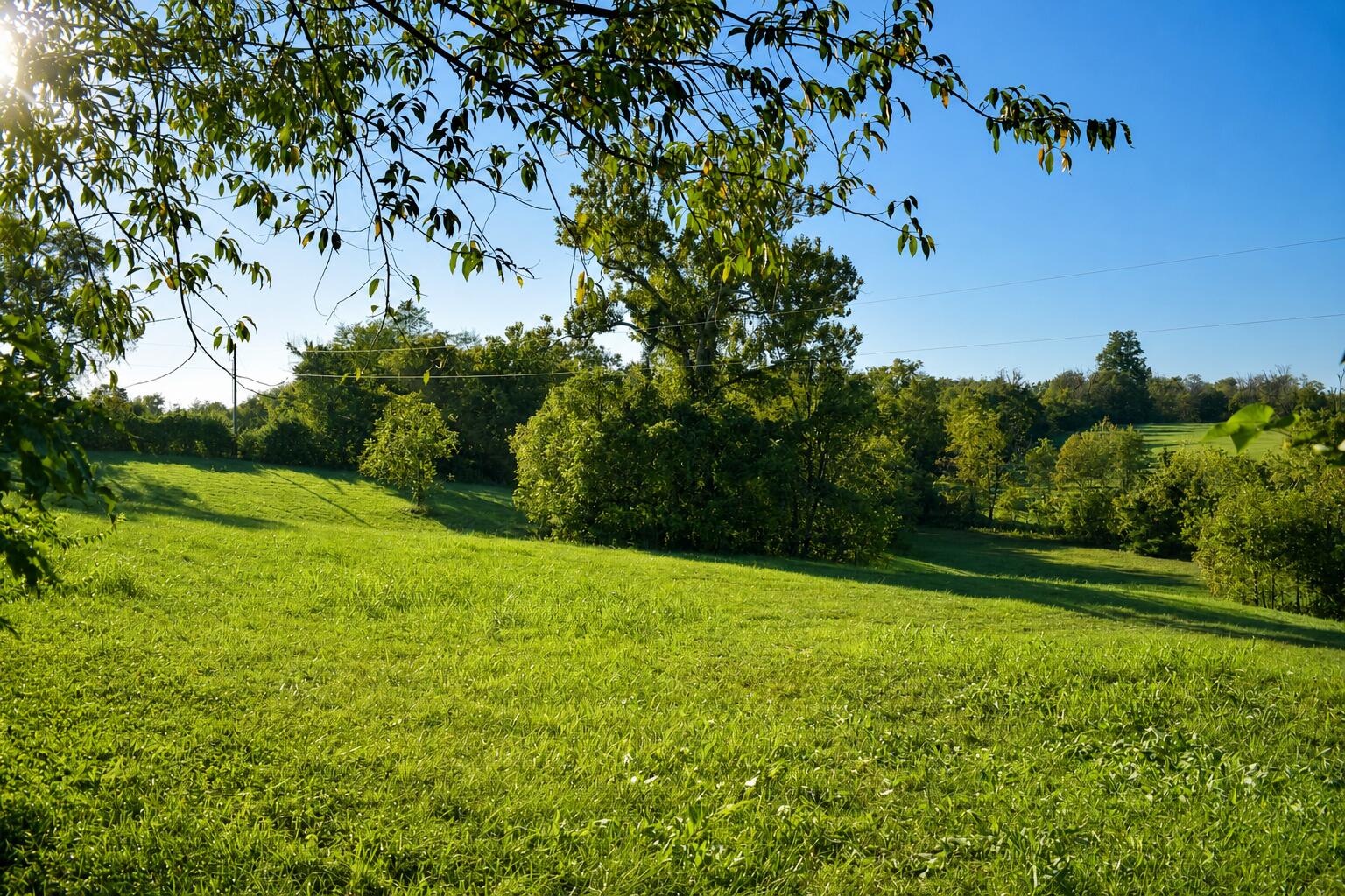 9930 Mount Sterling Road Property Photo 18
