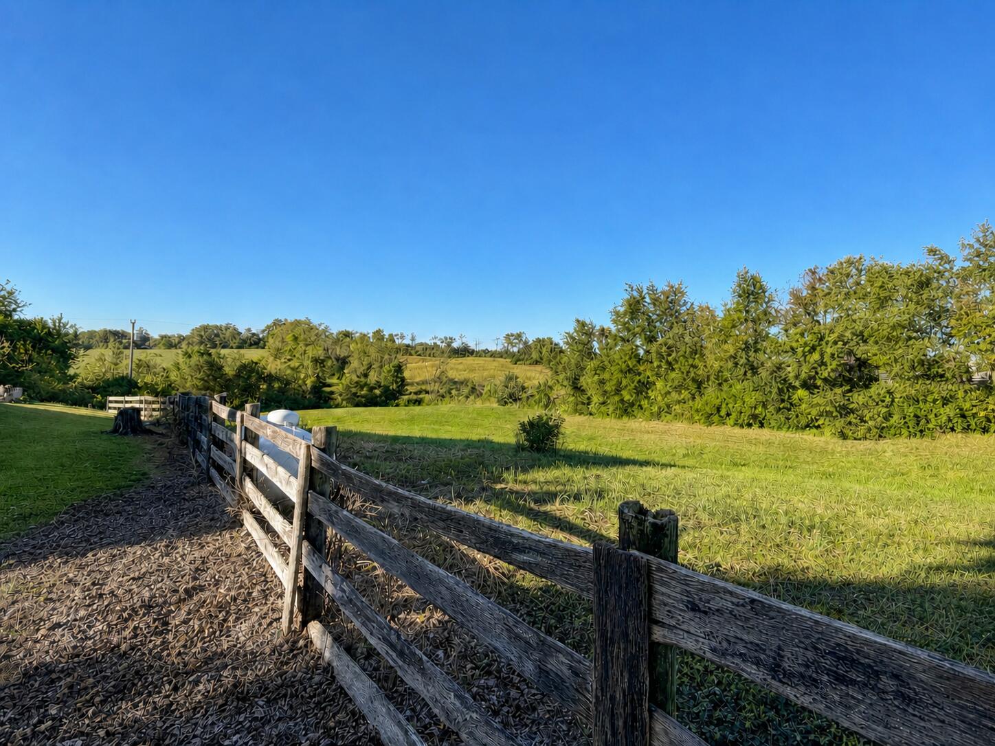 9930 Mount Sterling Road Property Photo 19