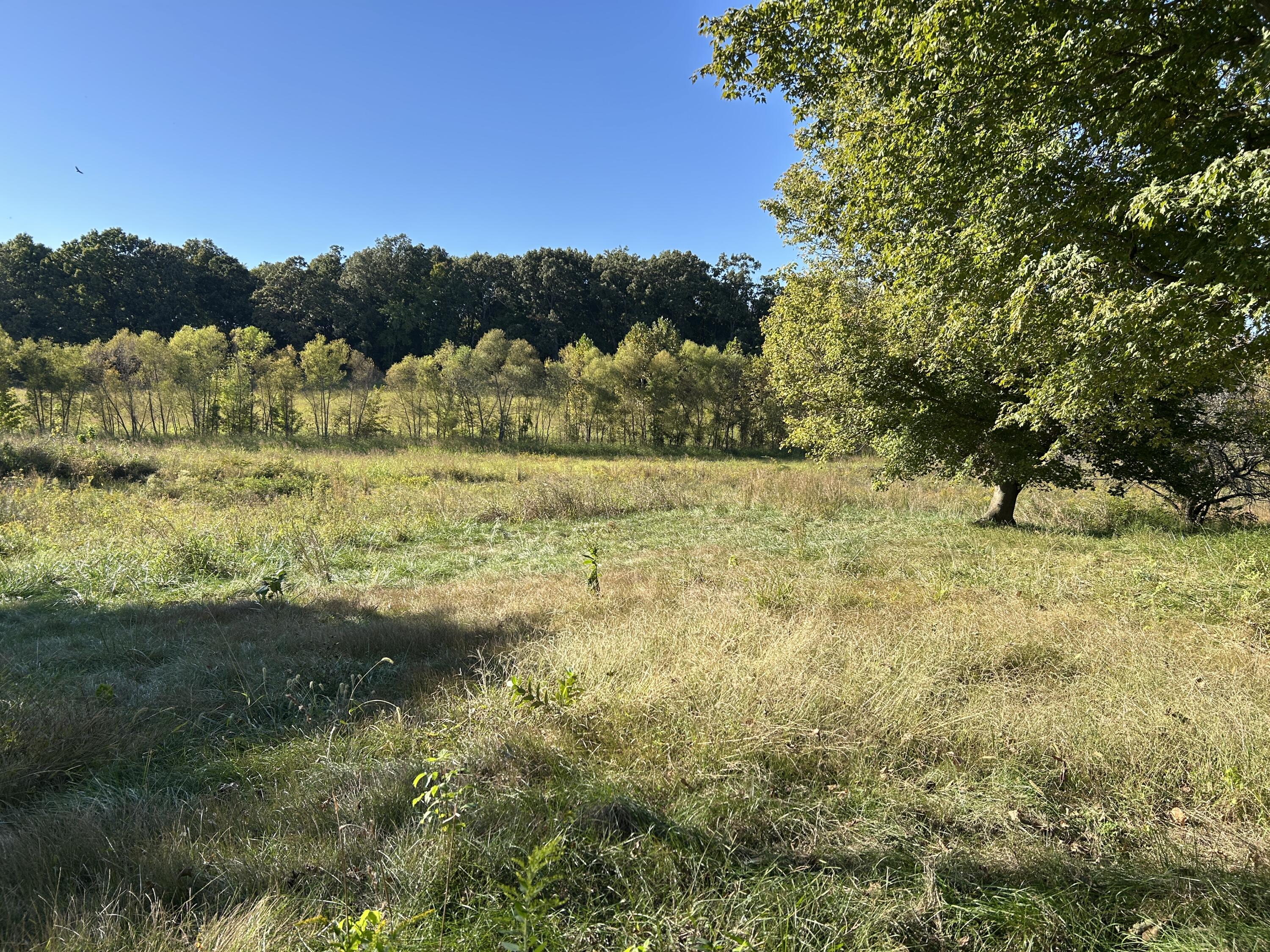 1067 Crider Dulaney Road Property Photo 5
