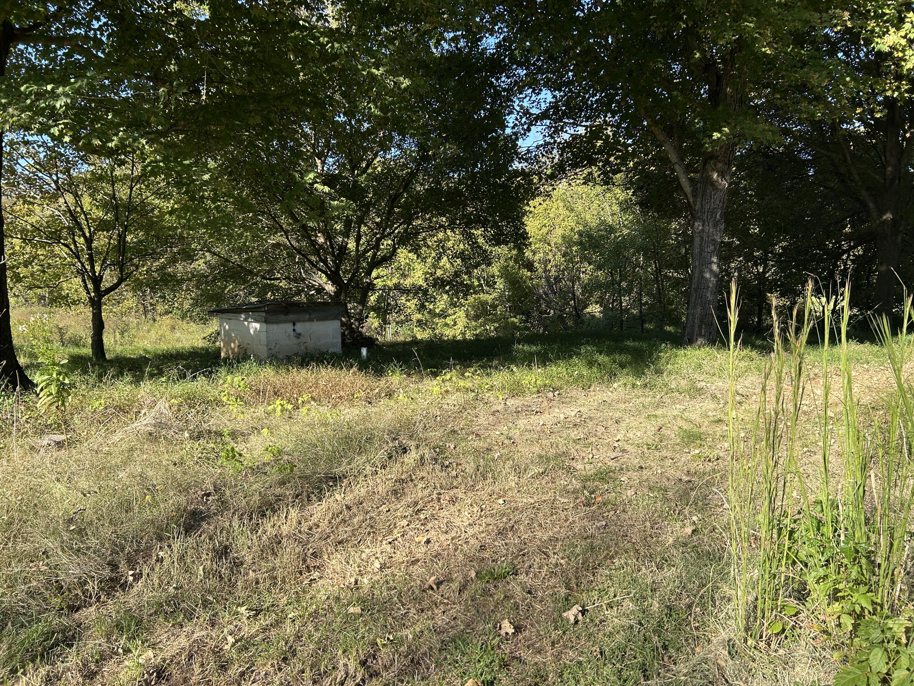 1067 Crider Dulaney Road Property Photo 7