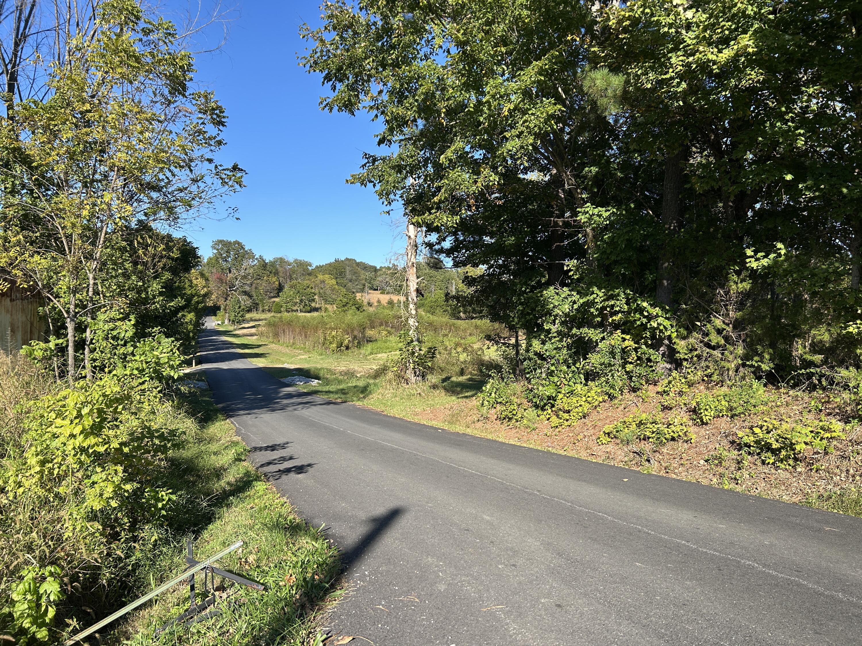 1067 Crider Dulaney Road Property Photo 8