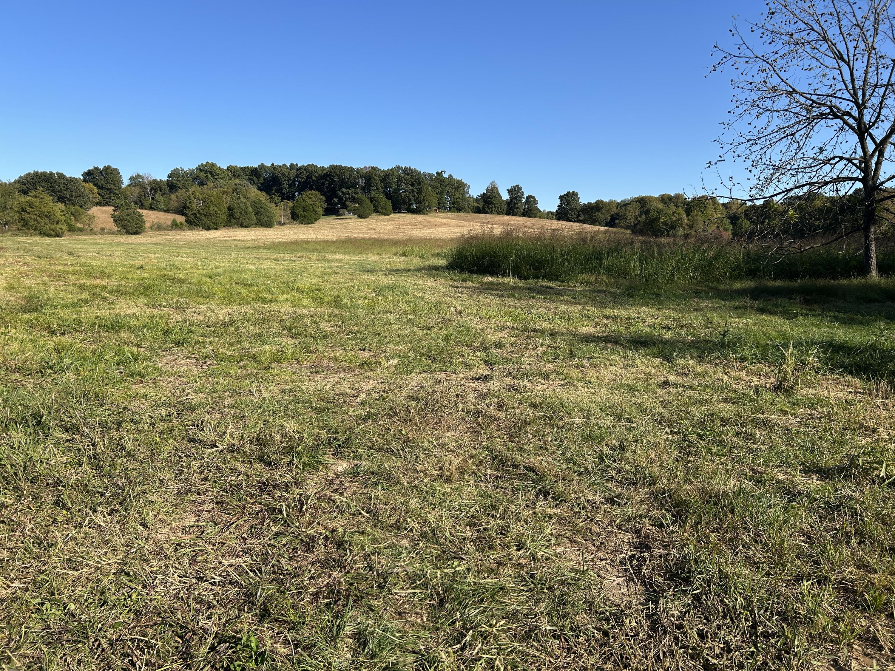 1067 Crider Dulaney Road Property Photo 9