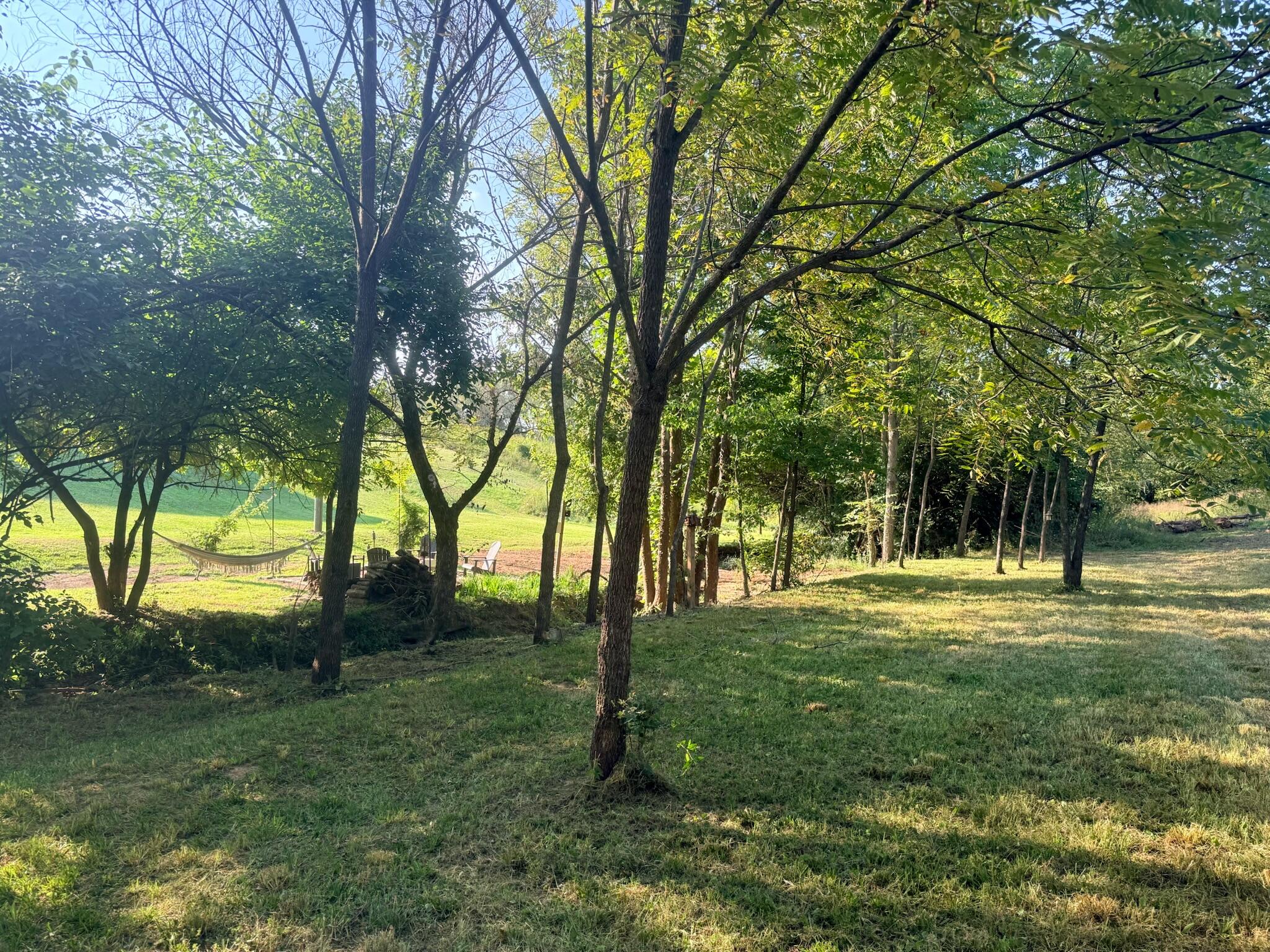 37 Deer Chase Road Property Photo 16