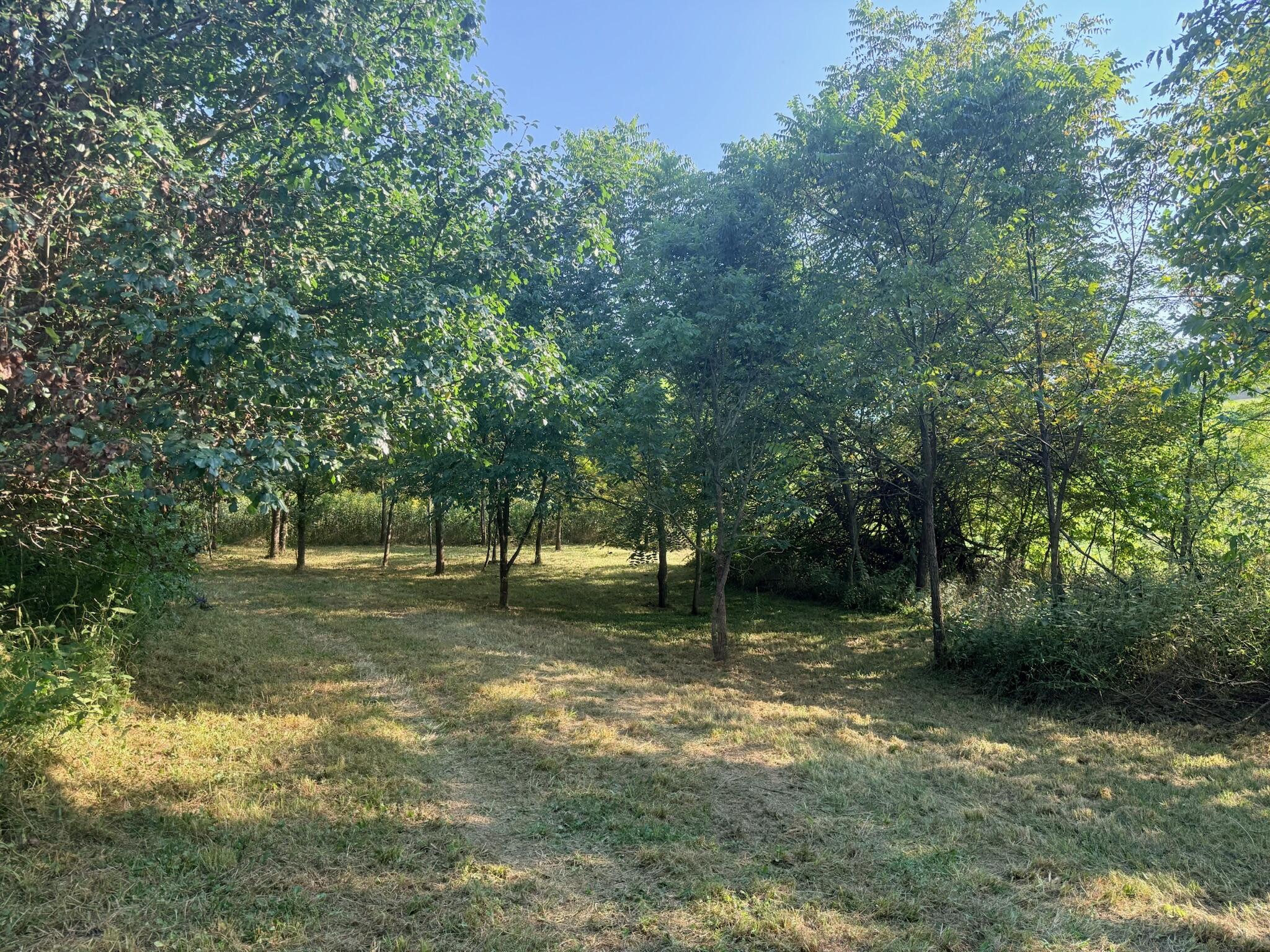 37 Deer Chase Road Property Photo 17