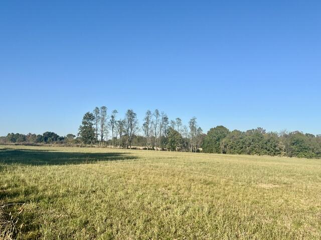 103 J Knight Road Road Property Photo 6