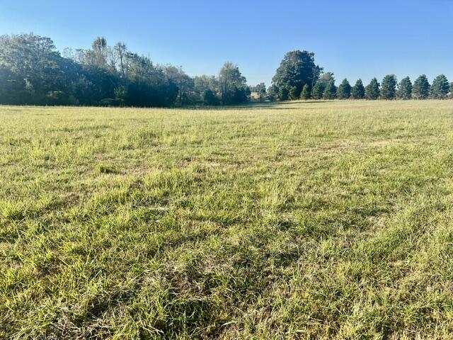 103 J Knight Road Road Property Photo 11