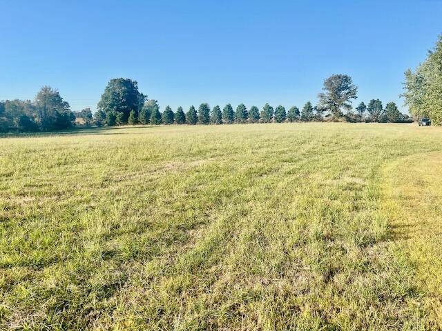 103 J Knight Road Road Property Photo 12