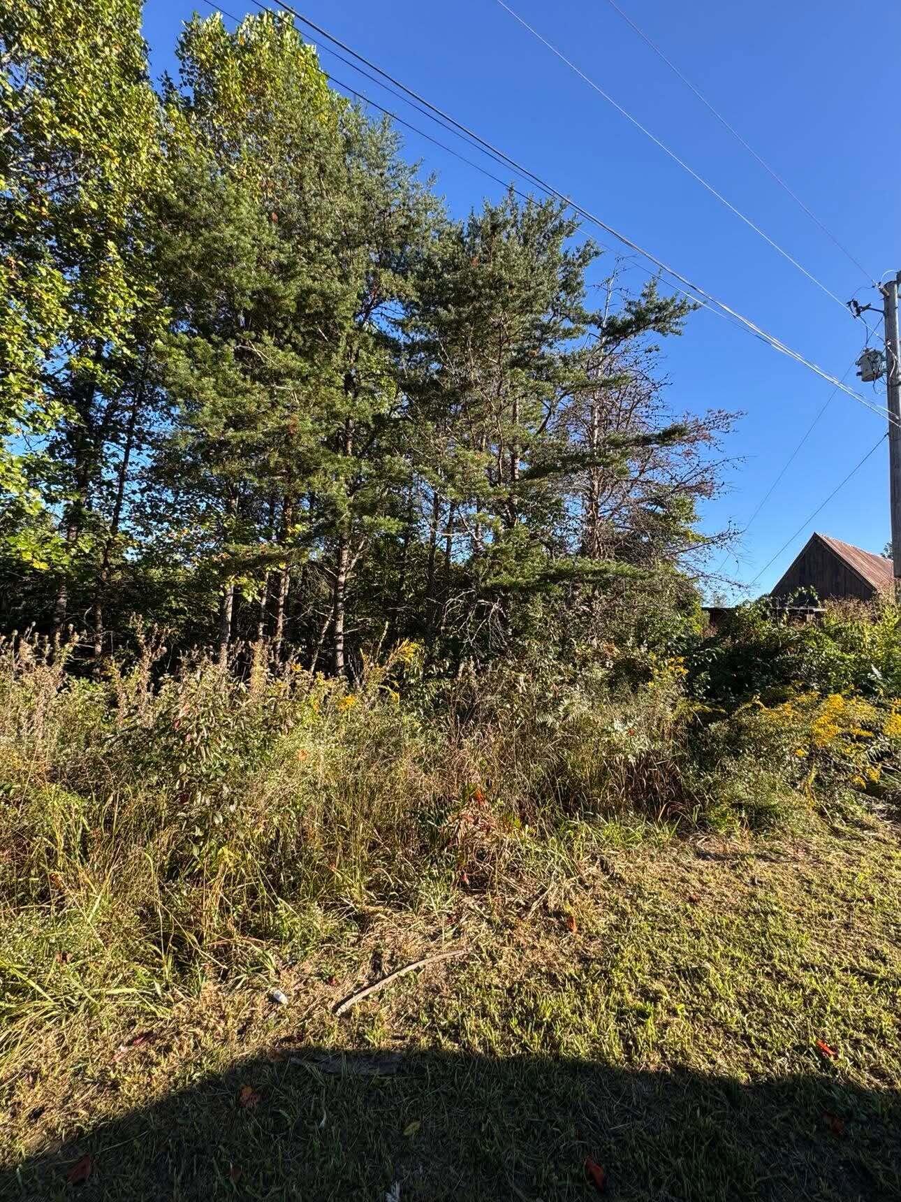 0 Turkey Ridge Road Lot 38 Property Photo 1