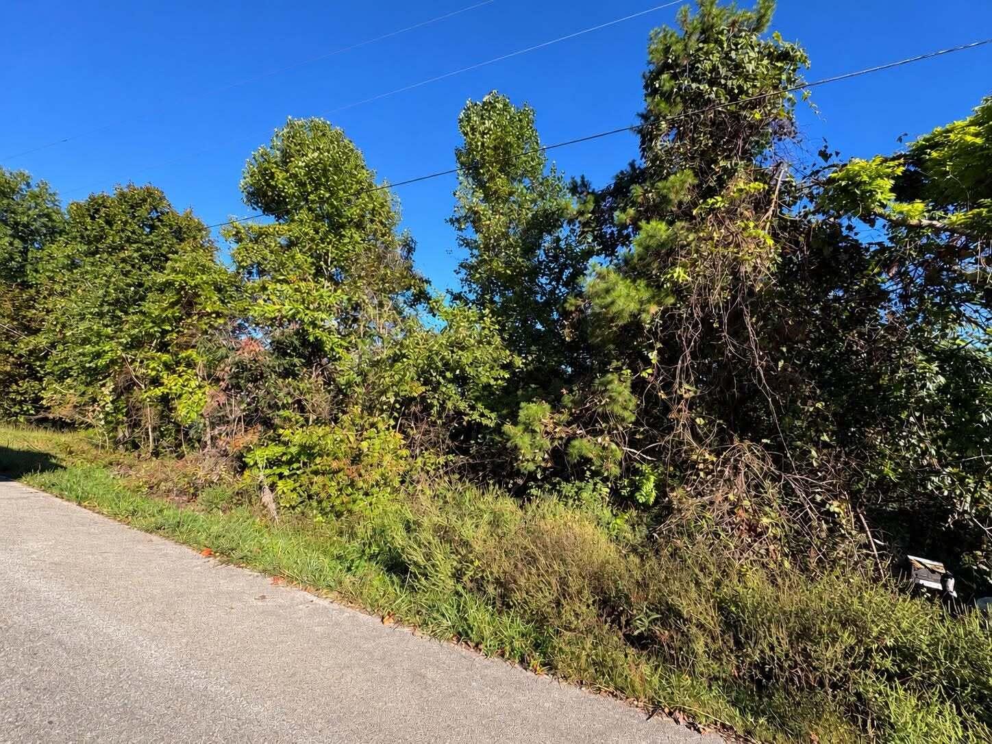 0 Turkey Ridge Road Lot 40 Property Photo 1