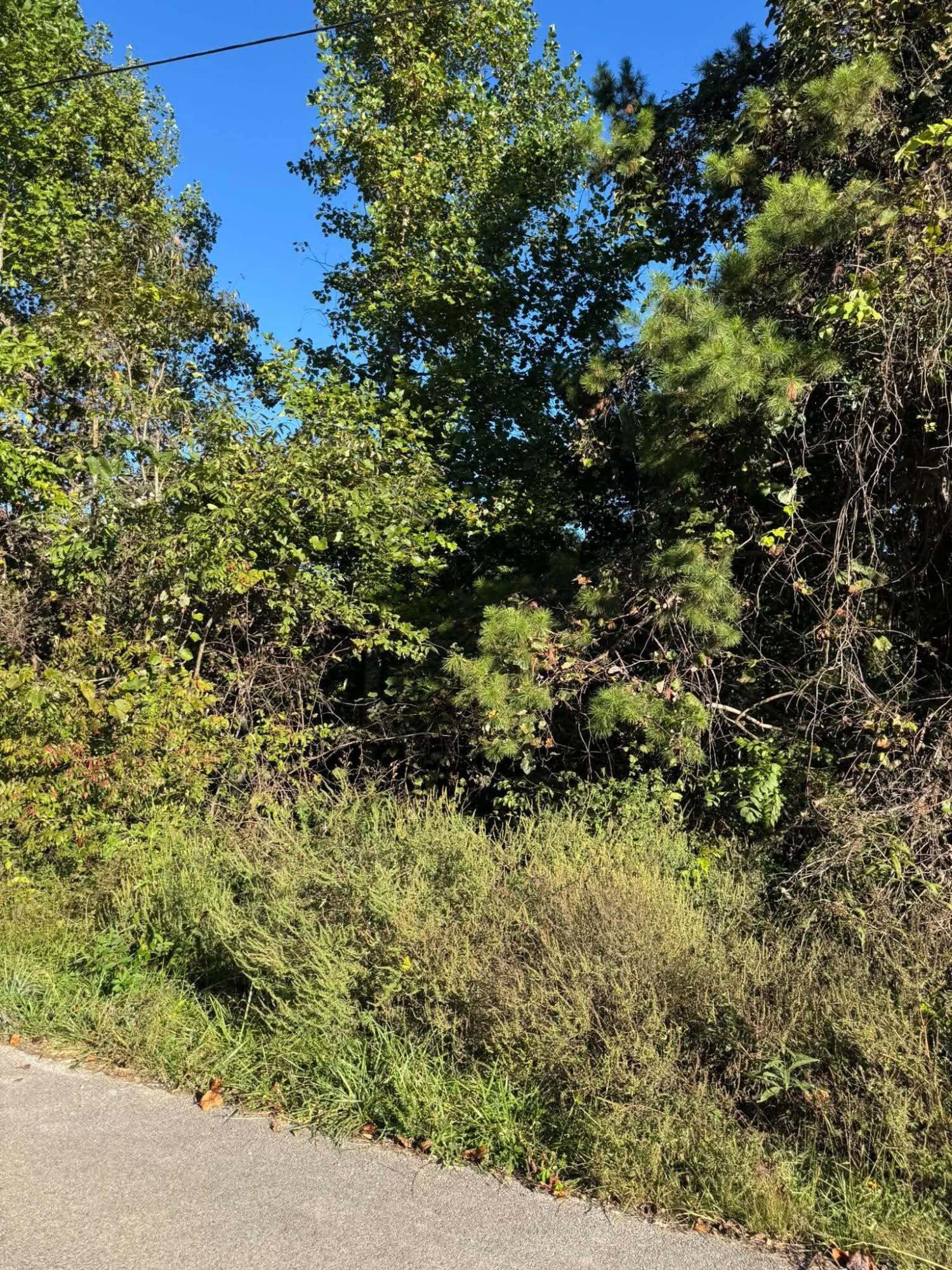 0 Turkey Ridge Road Lot 40 Property Photo 2