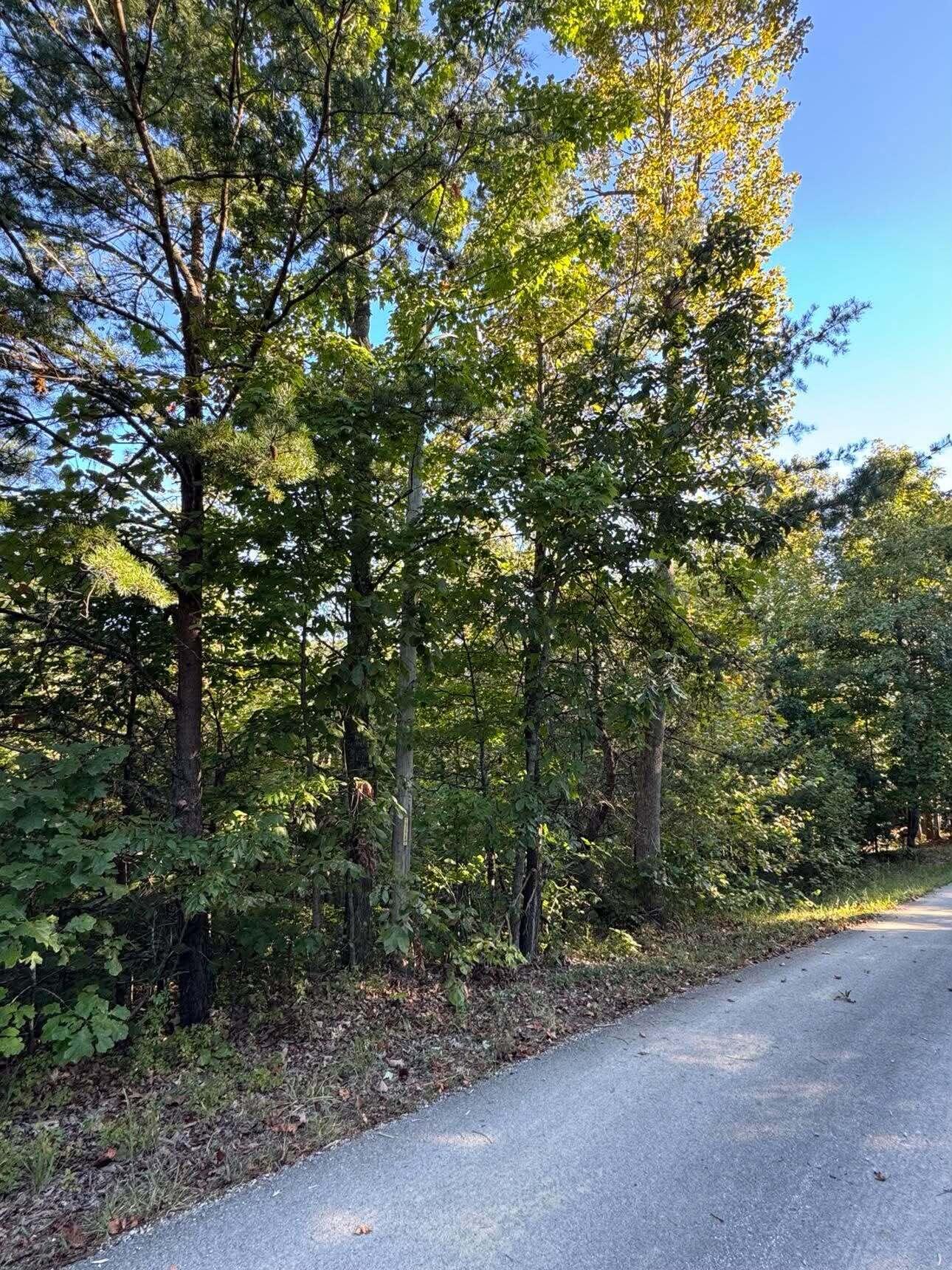 0 Turkey Ridge Road Lot 51 Property Photo 1