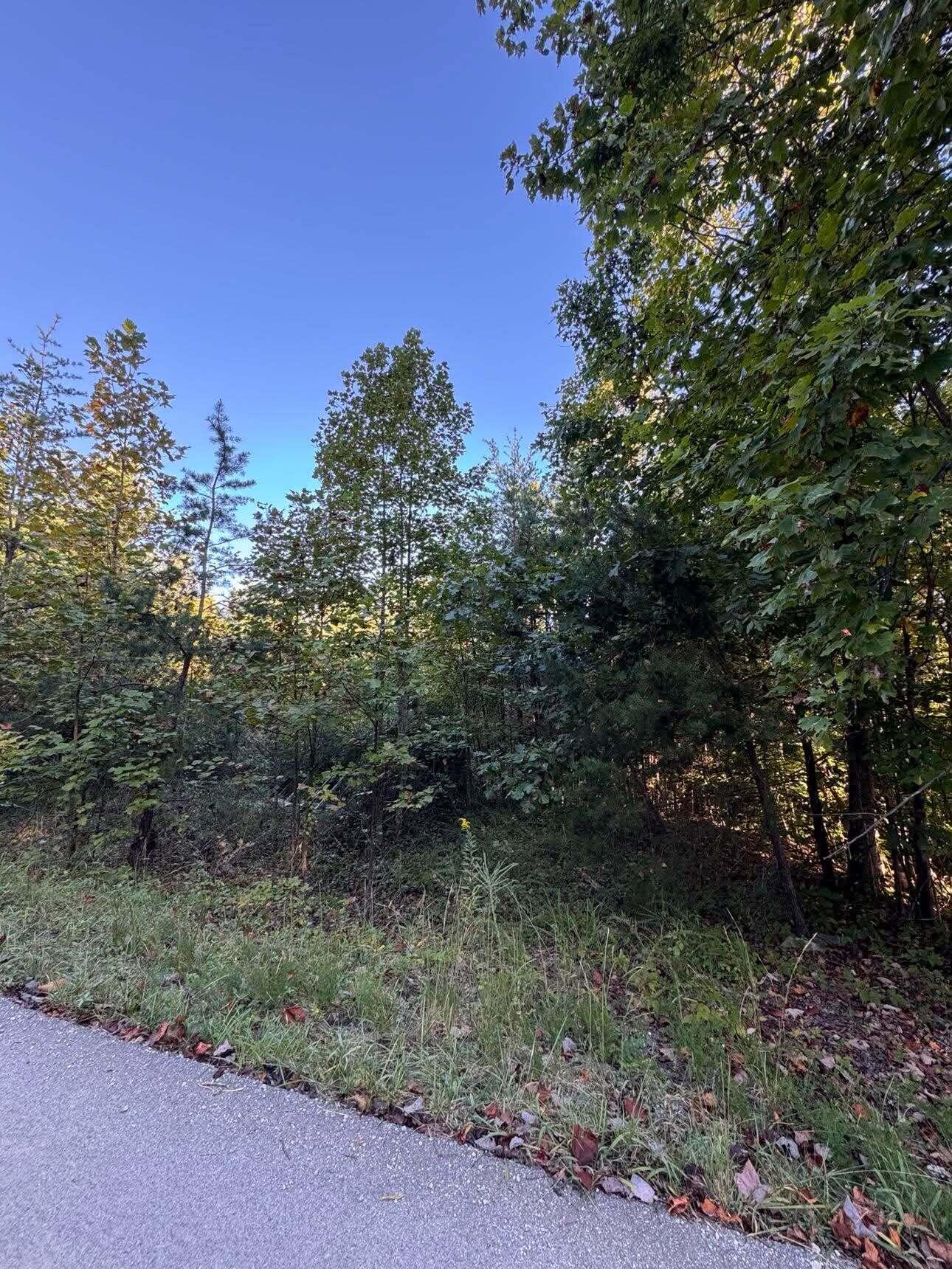 0 Turkey Ridge Road Lot 51 Property Photo 2