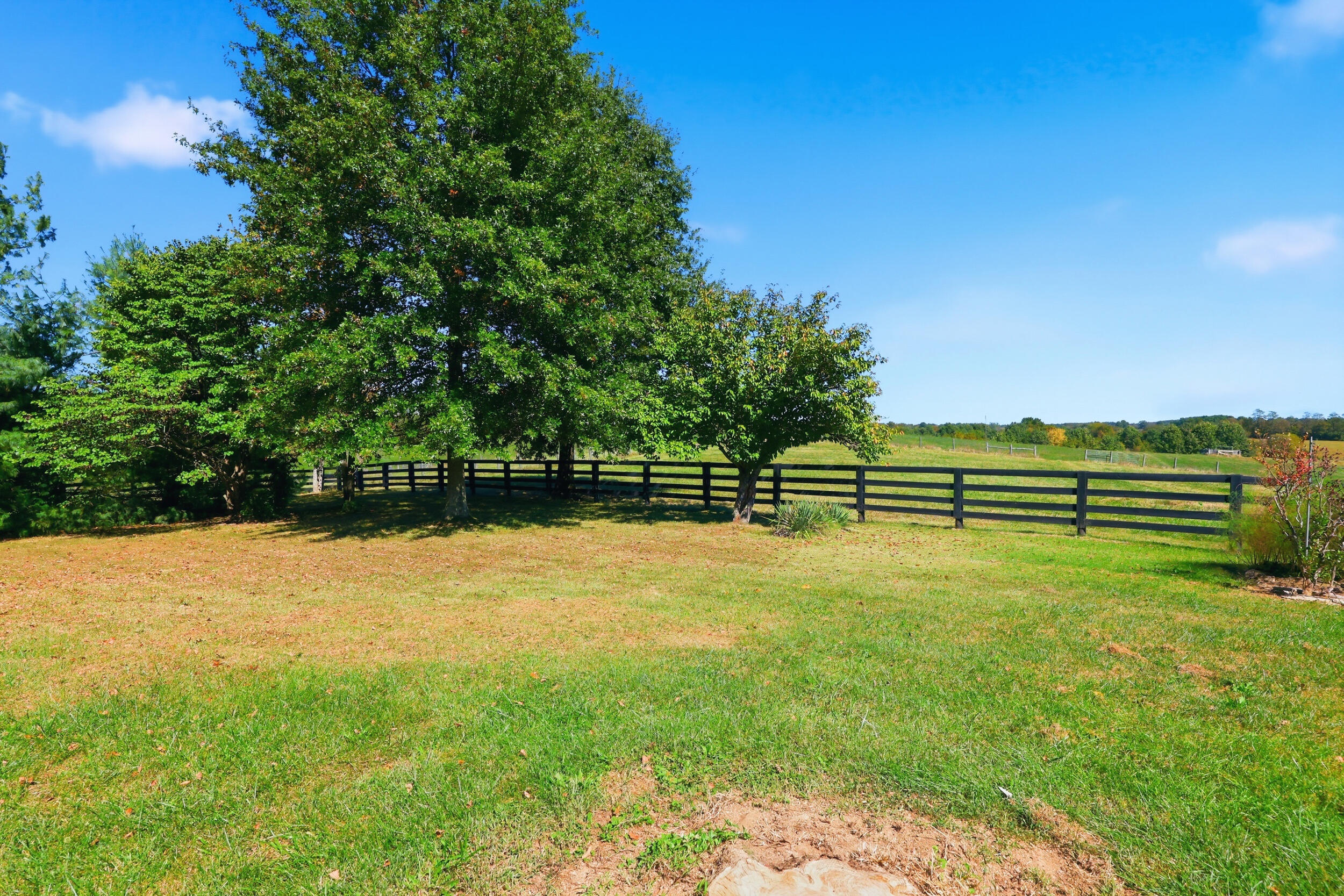1040 Hick Hardy Road Property Photo 33