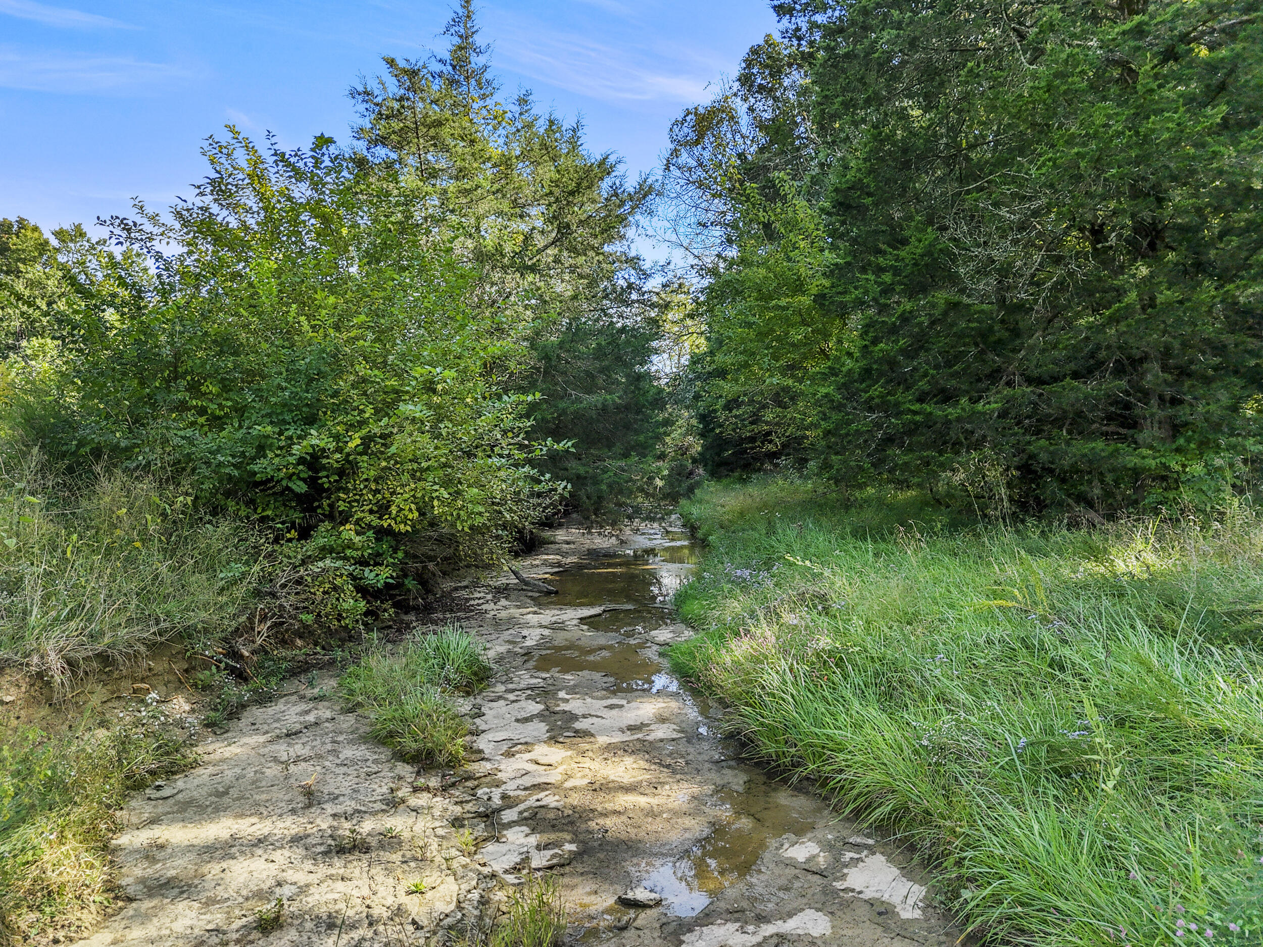 4174 Fall Lick Road Property Photo 32