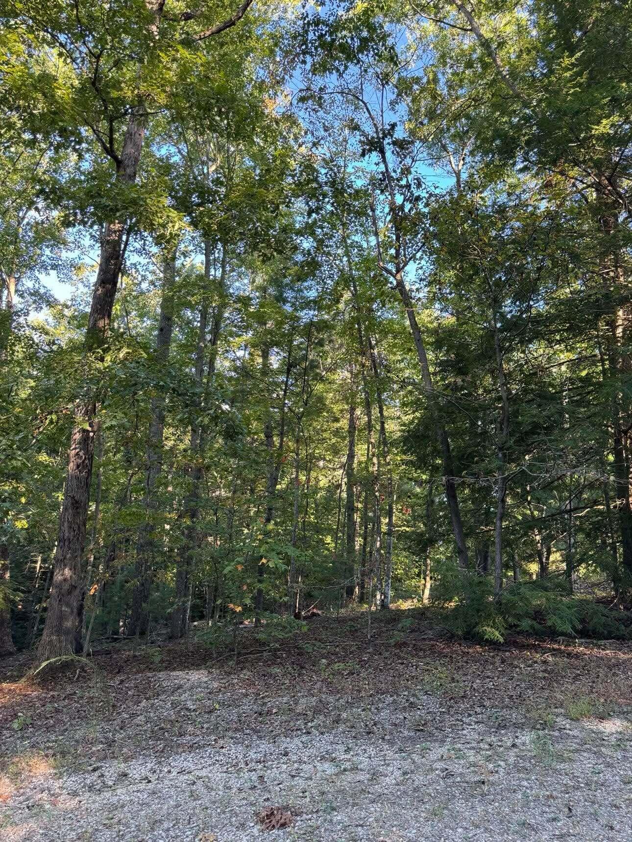 0 Turkey Ridge Road Lot 49 Property Photo 1