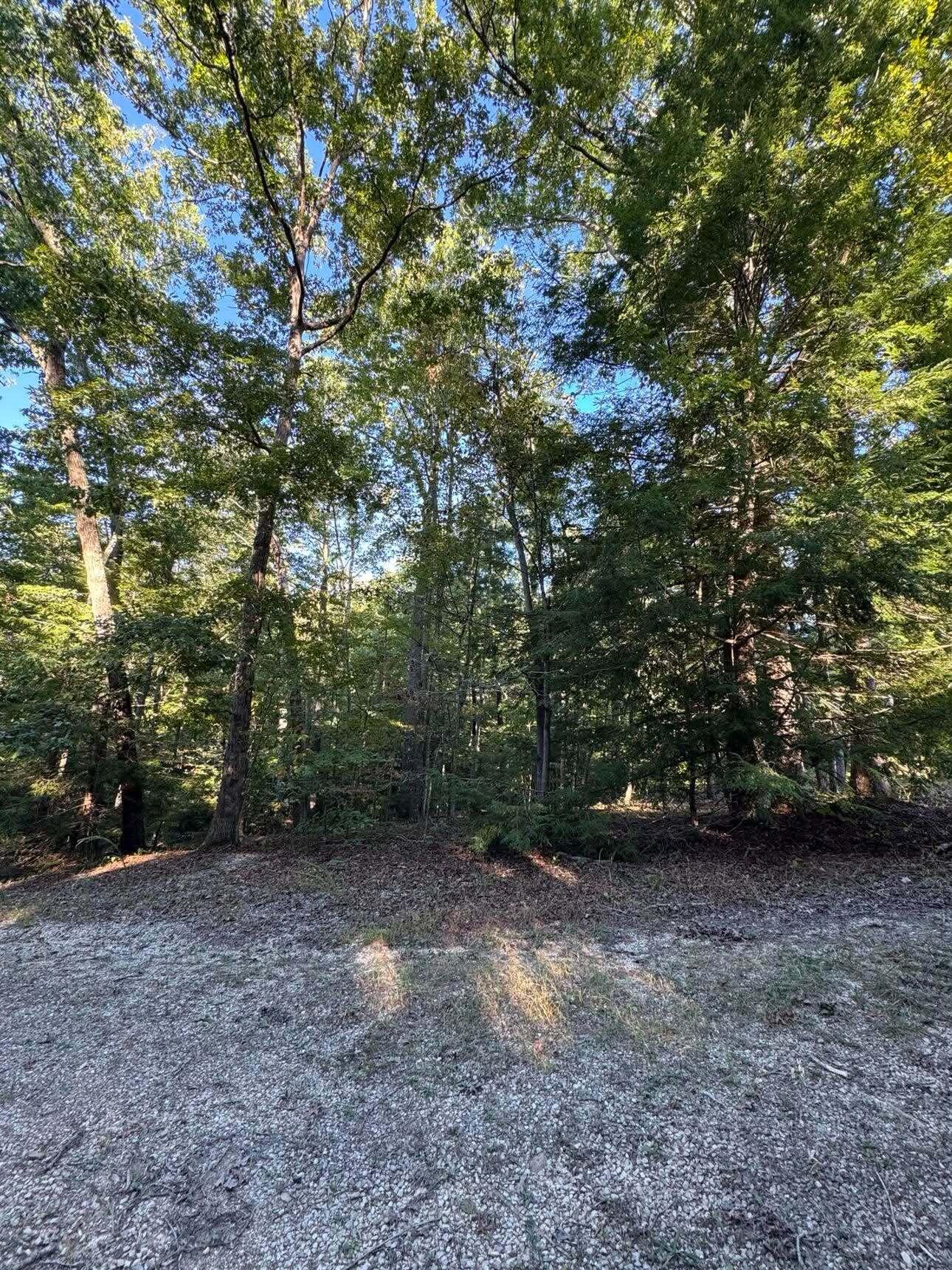 0 Turkey Ridge Road Lot 49 Property Photo 2