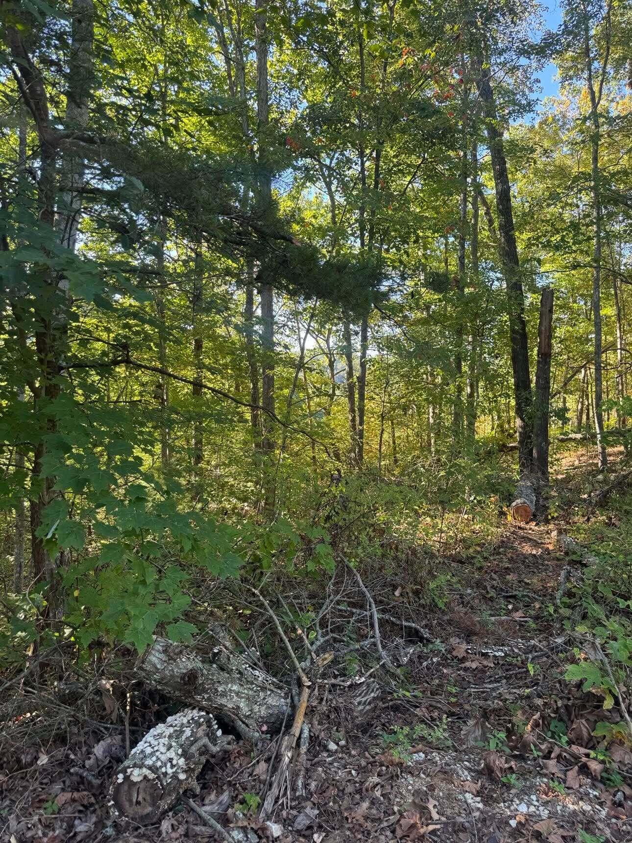 0 Ivy Lane Lot 80 Property Photo 1