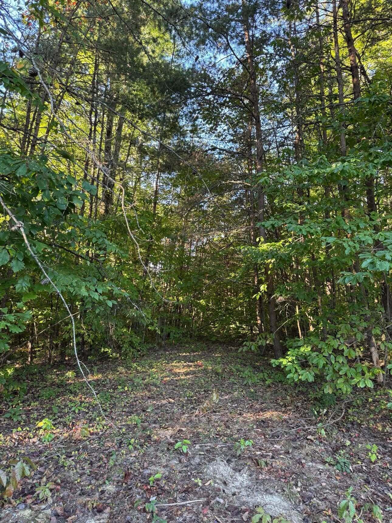 0 Jordan Court Lot 7-10 Property Photo 1