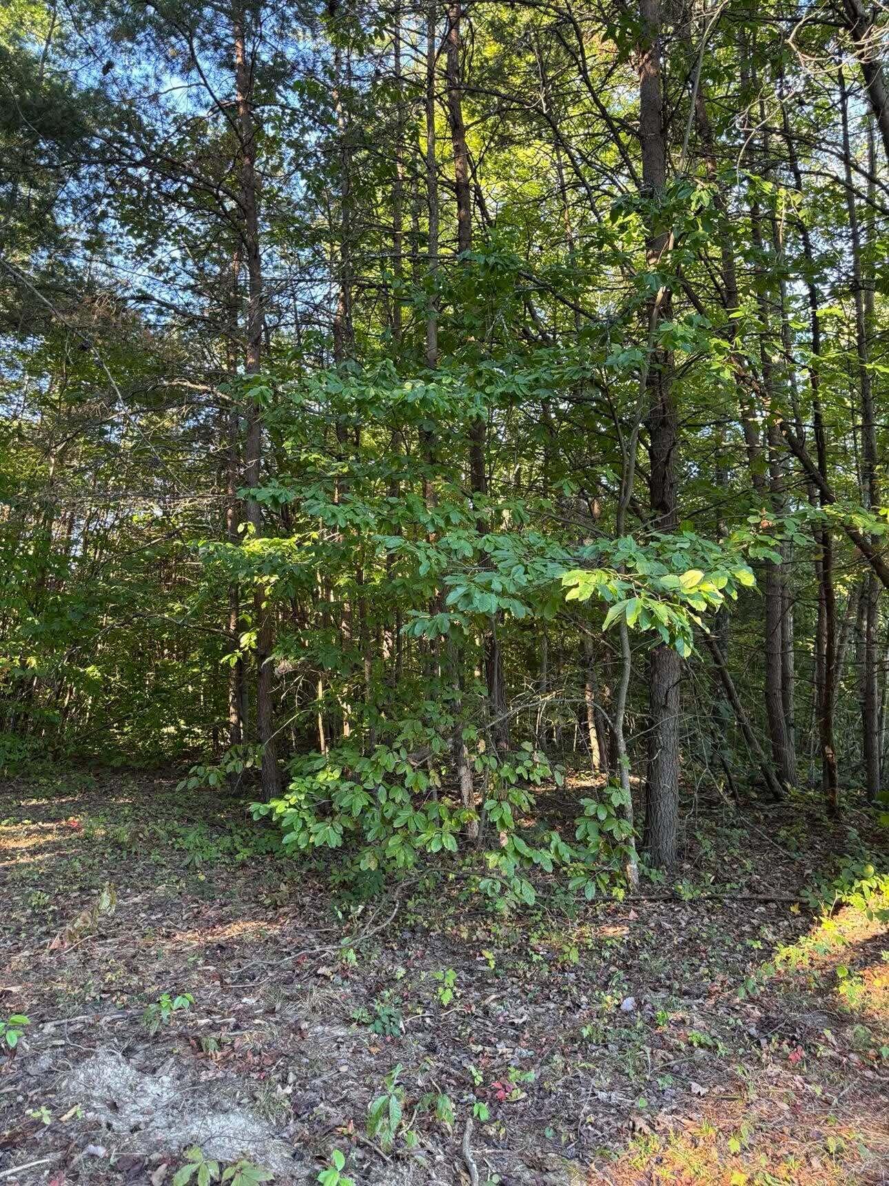 0 Jordan Court Lot 7-10 Property Photo 2