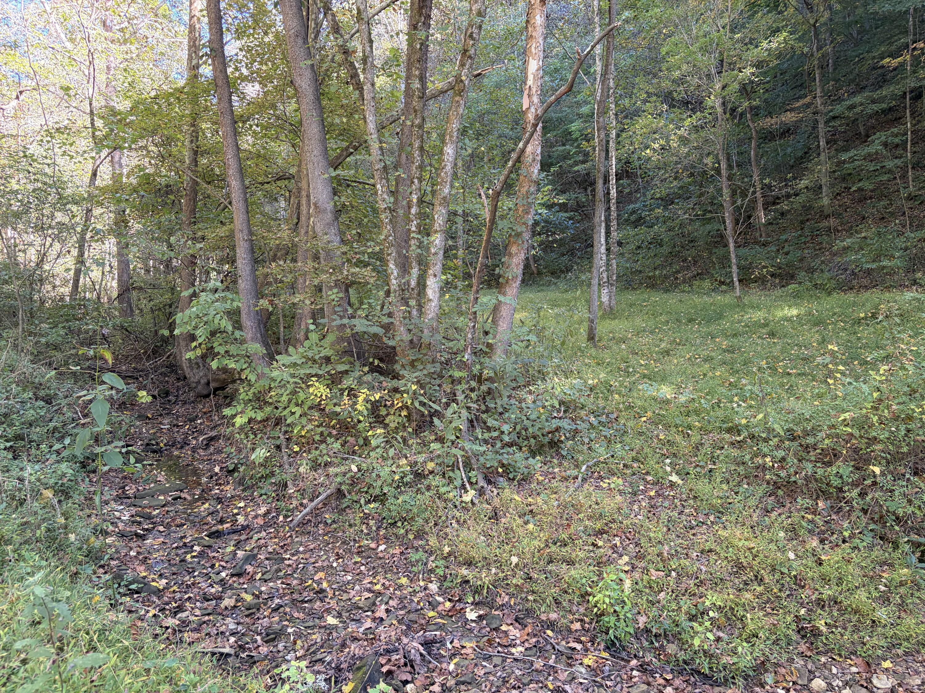 3252 Scotts Branch Road Property Photo 19