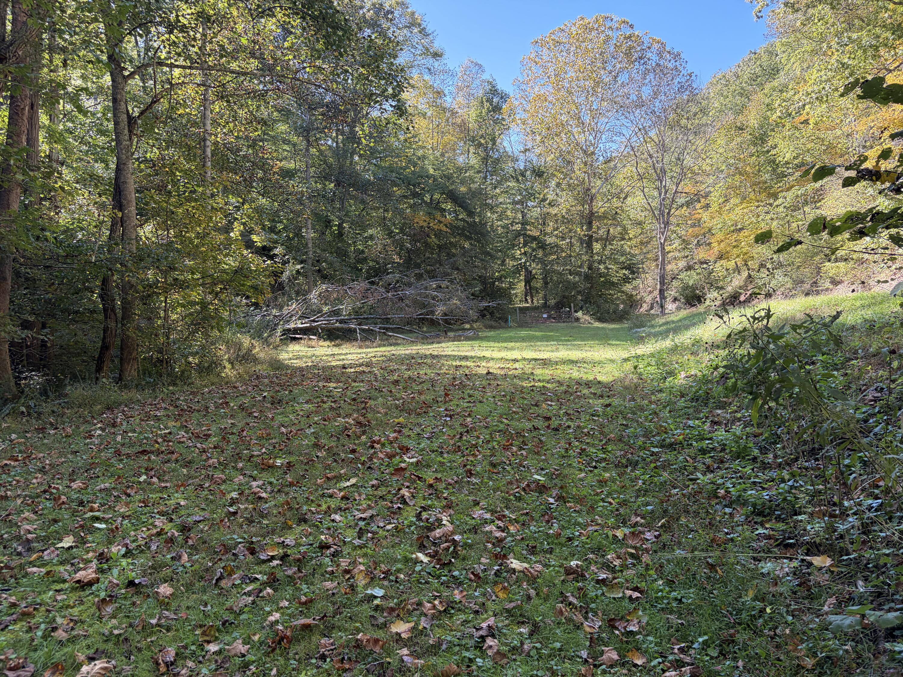 3252 Scotts Branch Road Property Photo 20