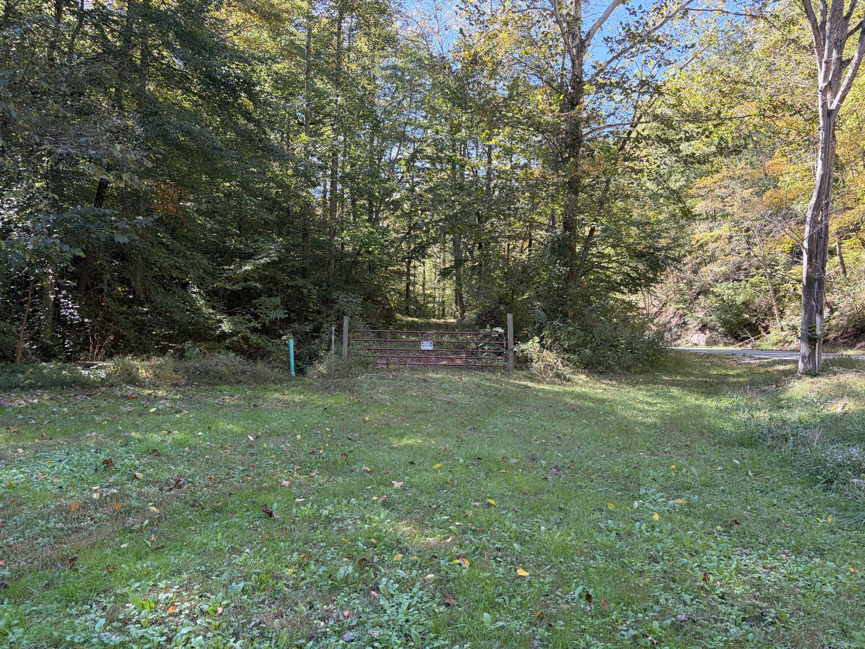 3252 Scotts Branch Road Property Photo 21