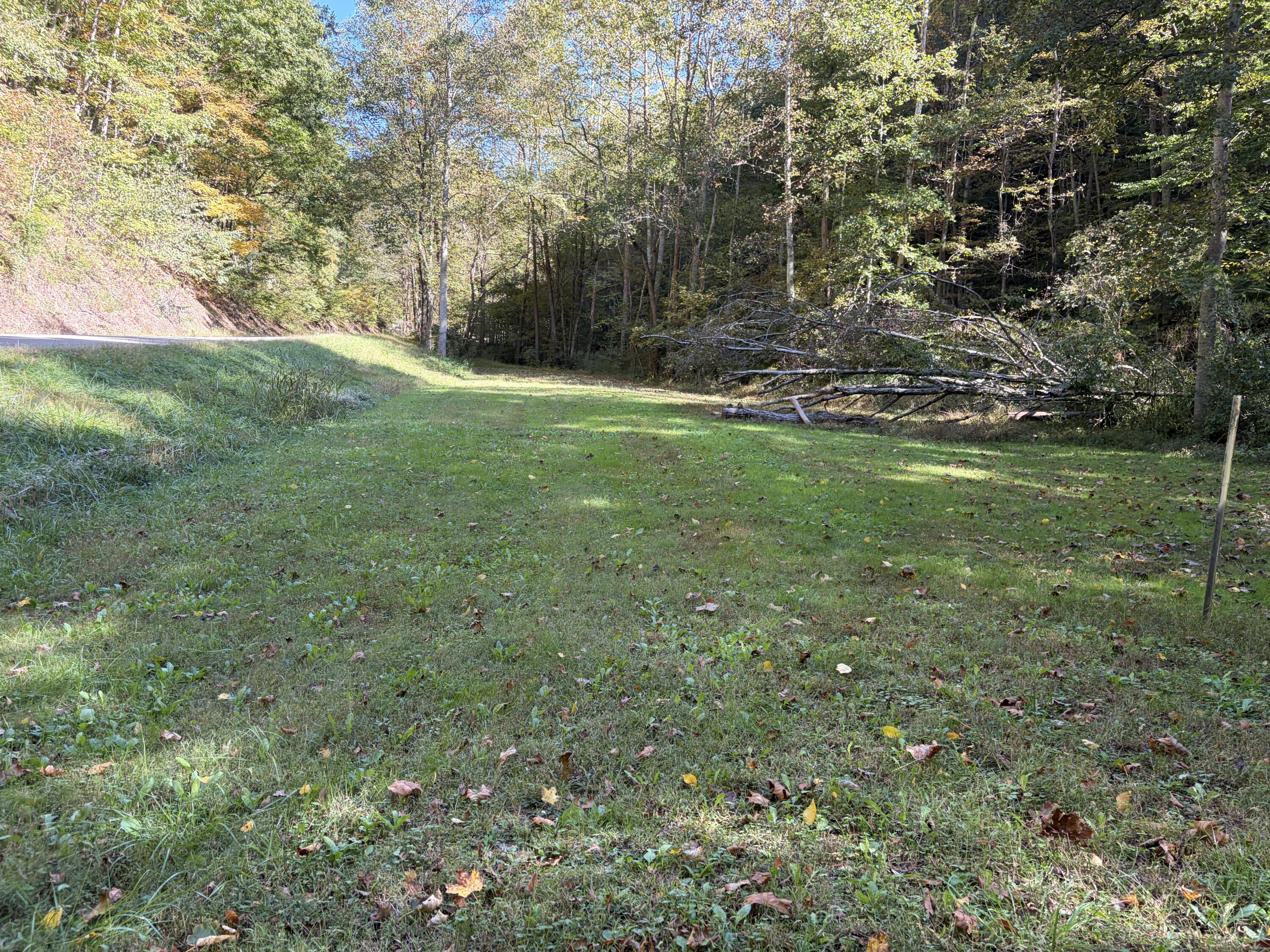 3252 Scotts Branch Road Property Photo 22