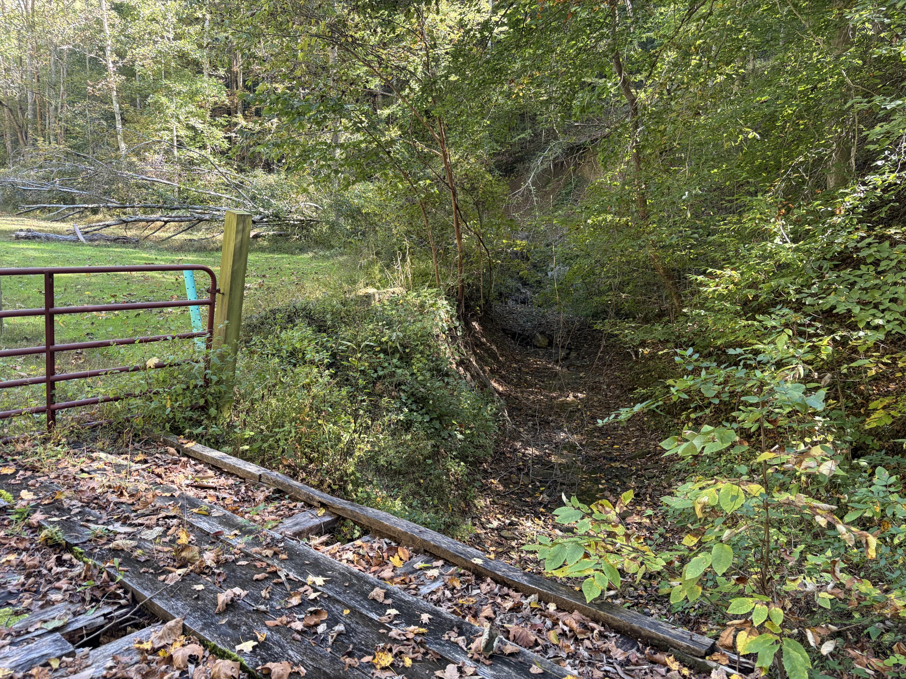 3252 Scotts Branch Road Property Photo 23
