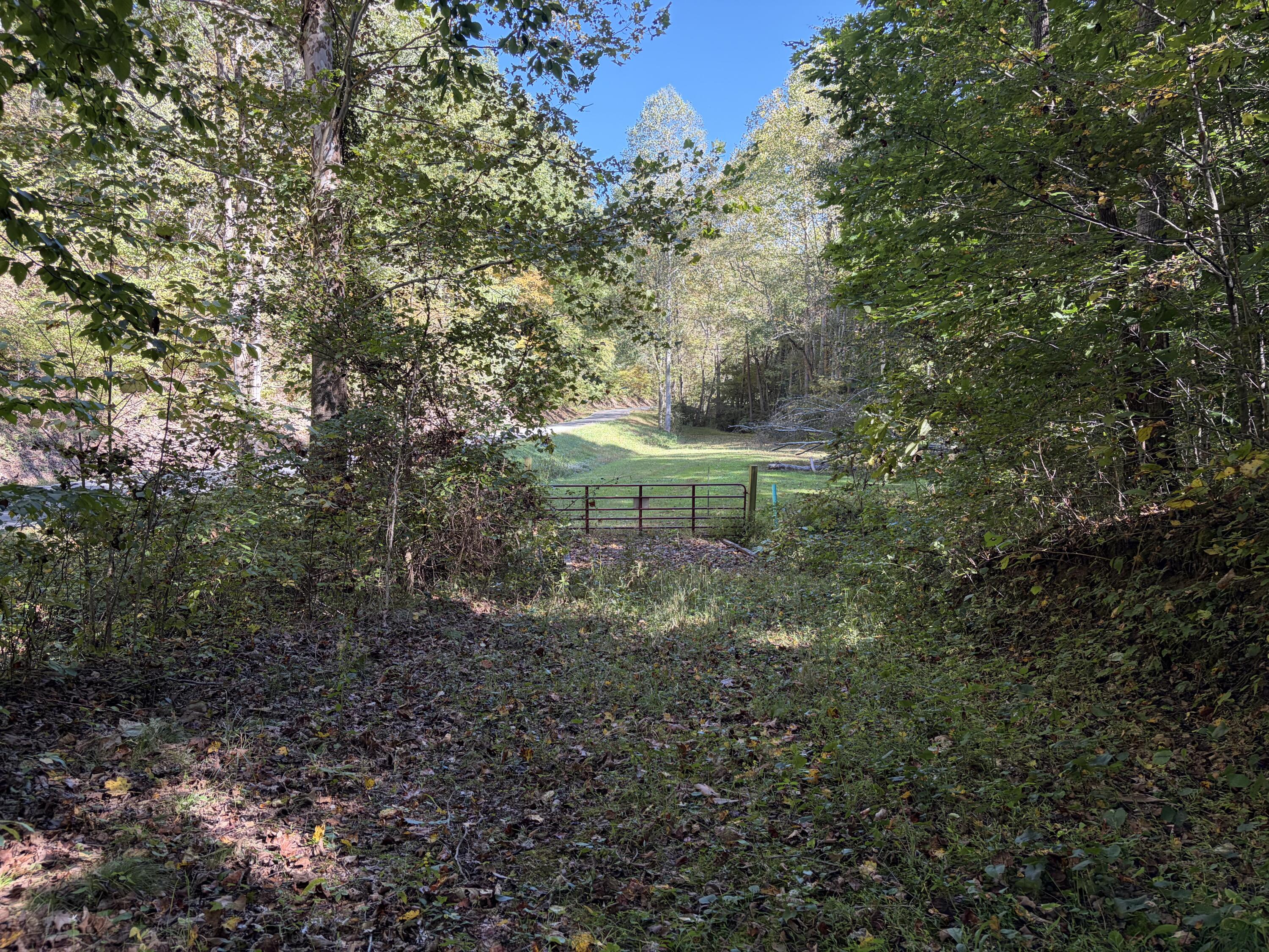 3252 Scotts Branch Road Property Photo 24
